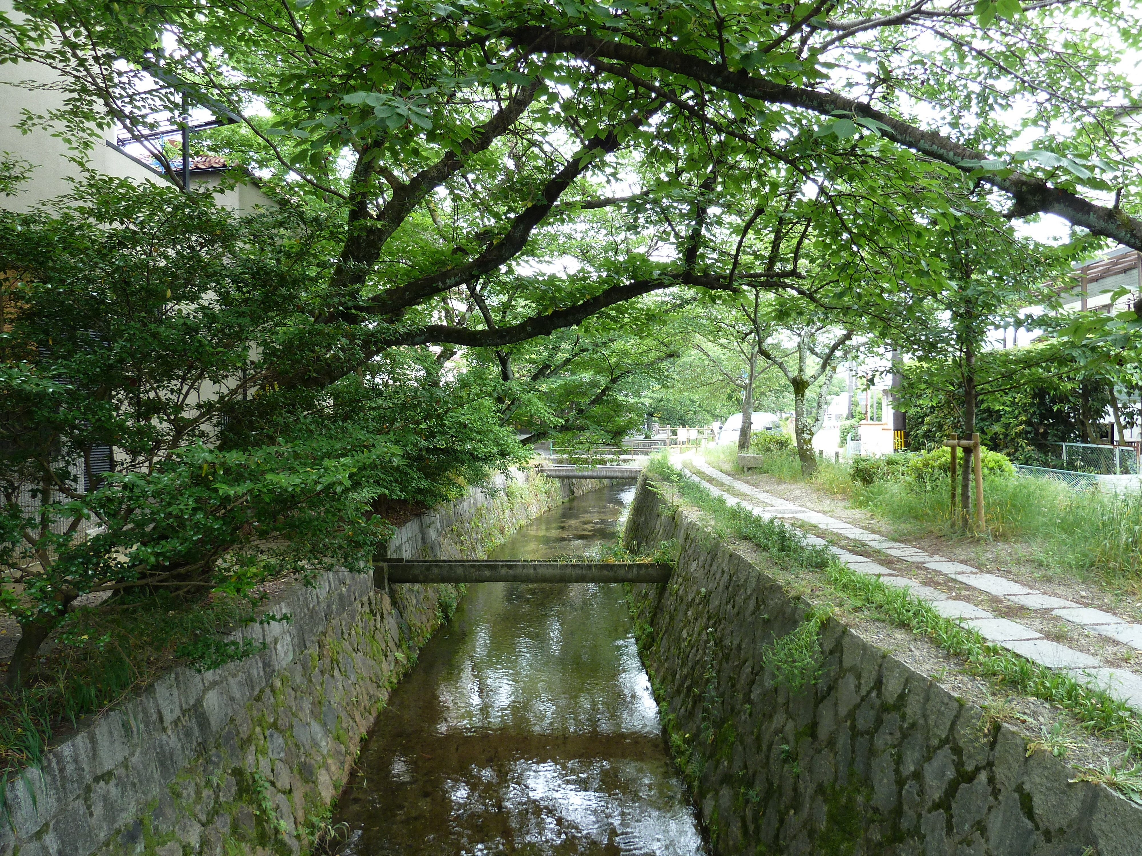 รูปถ่าย ญี่ปุ่น(Japan) เกียวโต(Kyoto) 2010-06 14