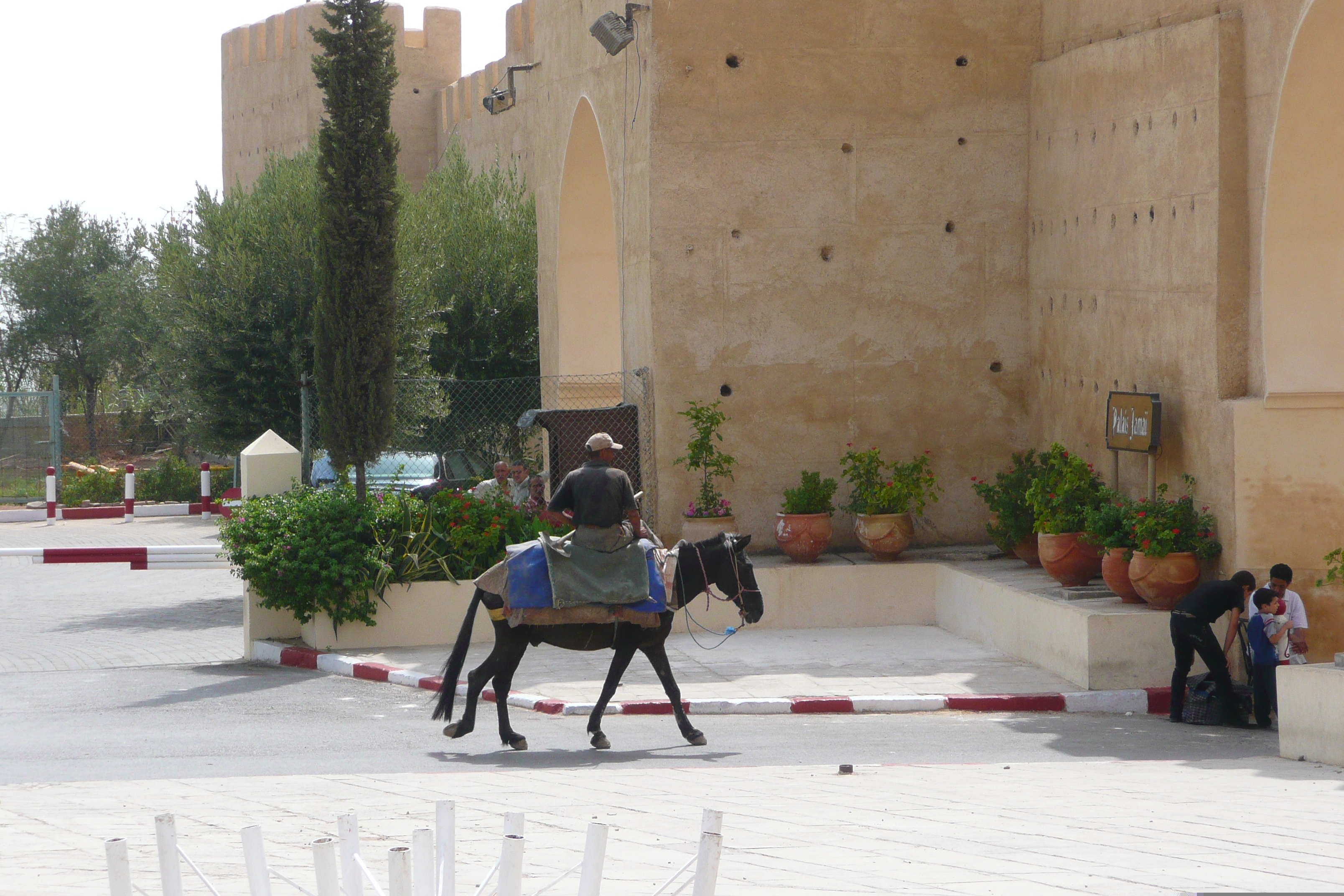รูปถ่าย โมร็อกโก(Morocco) เฟส(Fes) เมดินาเฟส(Fes Medina) 2008-07 17