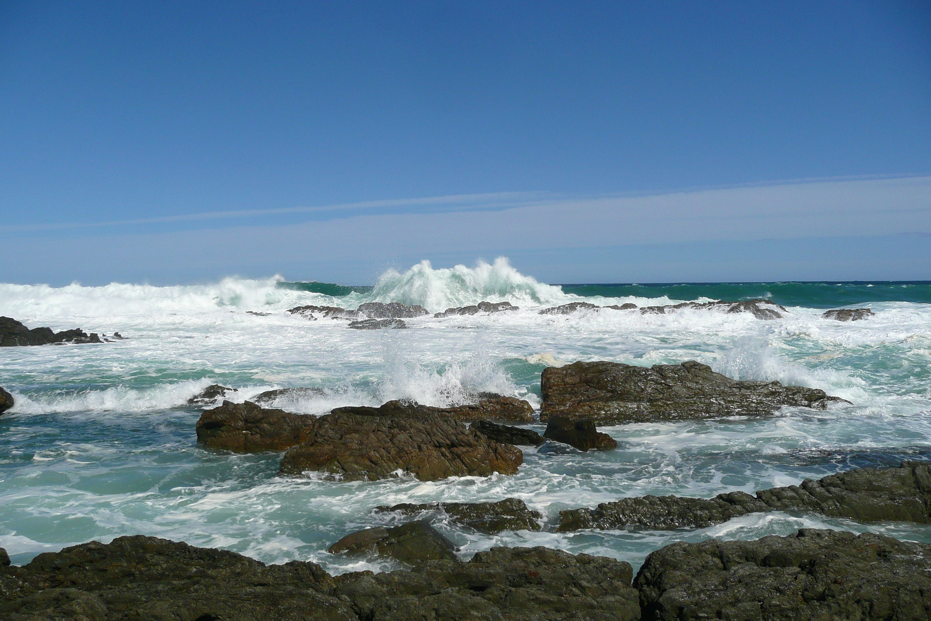 รูปถ่าย แอฟริกาใต้(South Africa) อุทยานแห่งชาติซิตซิคัมมา(Tsitsikamma National Park) 2008-09 247