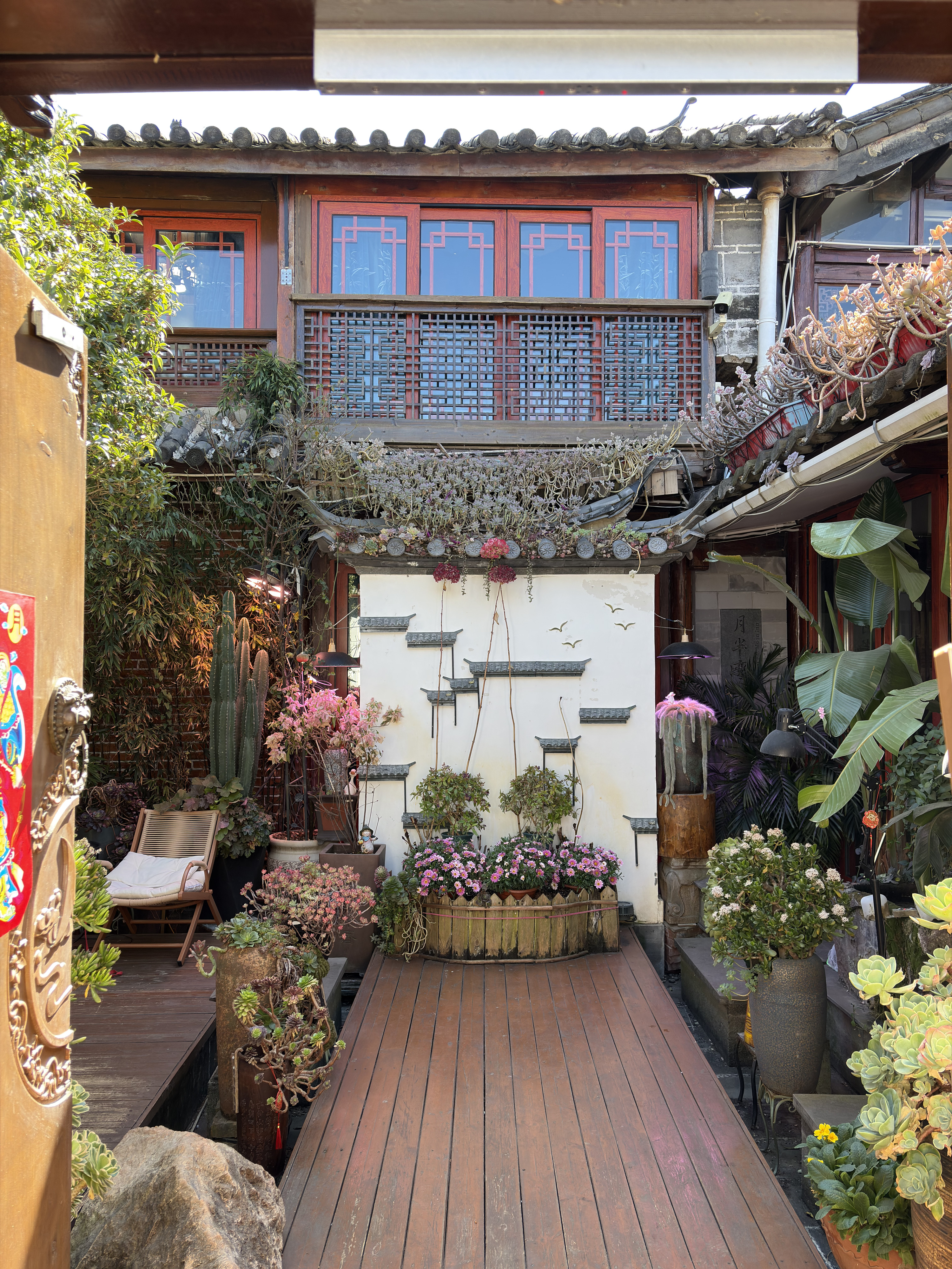 รูปถ่าย จีน(China) ลี่เจียง(Lijiang) 2026-01 254
