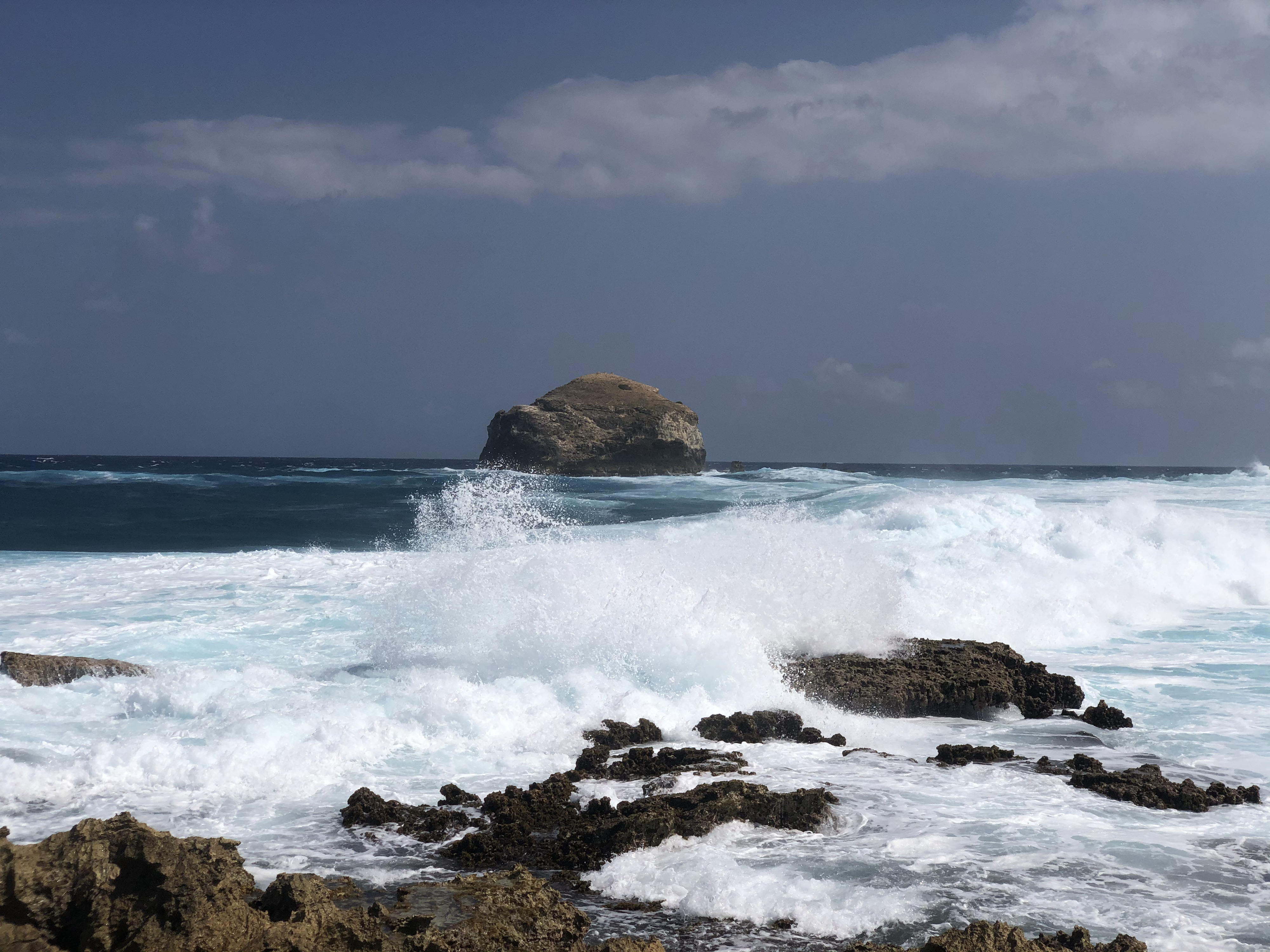 รูปถ่าย กวาเดอลูป(Guadeloupe) แหลมคาสเซิลพอยต์(Castle Point) 2021-02 48