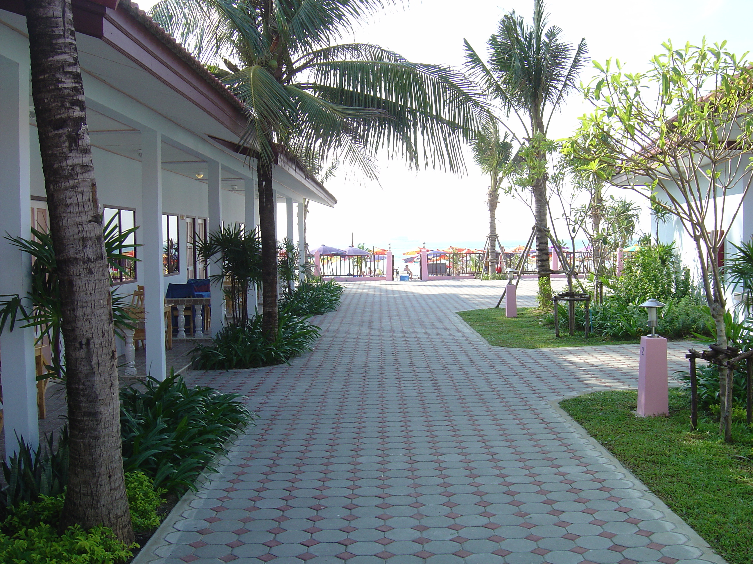 รูปถ่าย ไทย(Thailand) ภูเก็ต(Phuket) ป่าตอง(Patong) โรงแรมป่าตองบีช บังกะโล(Patong Beach Bungalow Hotel) 2005-12 0
