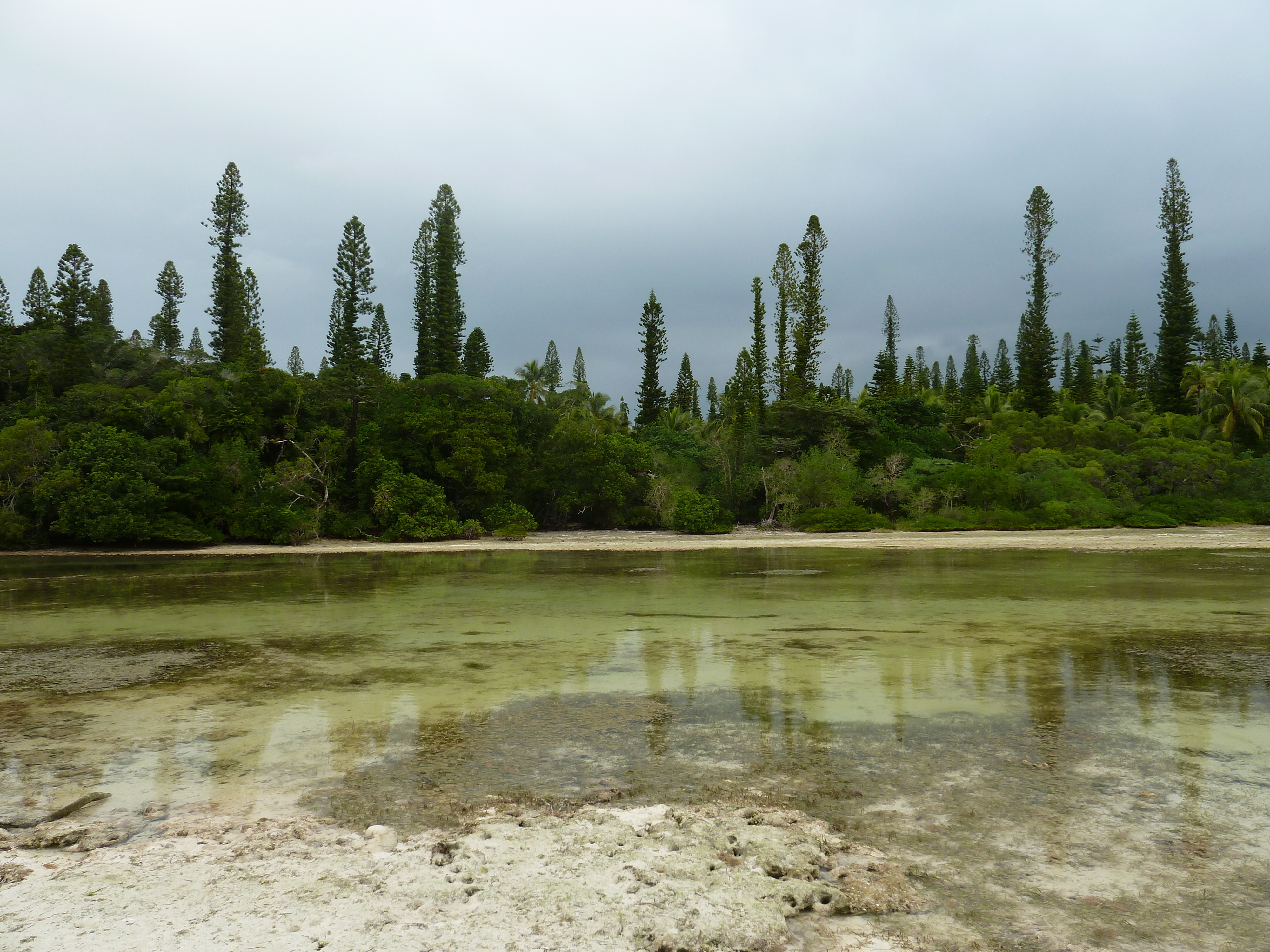 รูปถ่าย นิวแคลิโดเนีย(New Caledonia) 2010-05 73