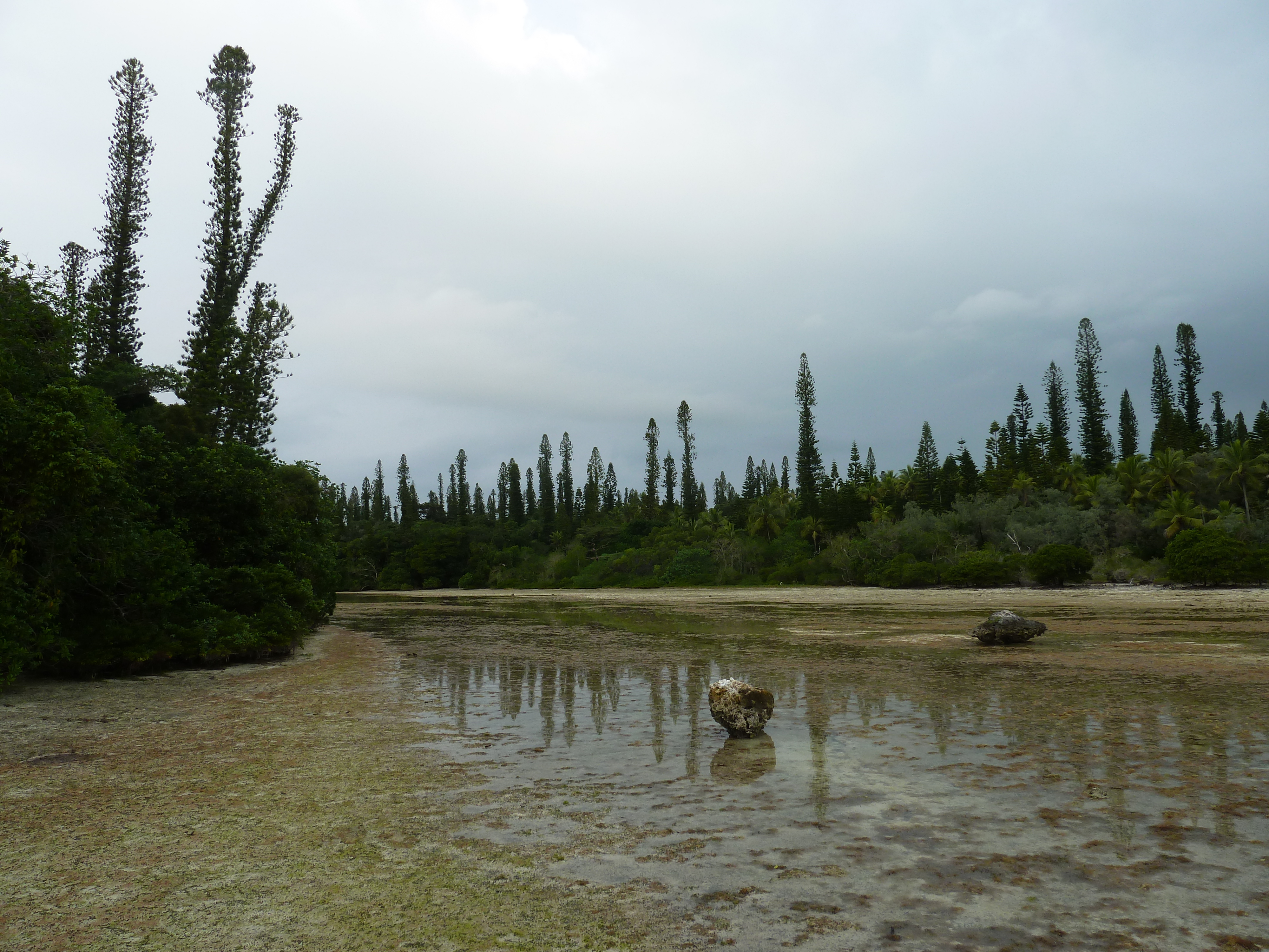 รูปถ่าย นิวแคลิโดเนีย(New Caledonia) เกาะต้นสน(Ile des pins) อ่าวโอโร(Oro Bay) 2010-05 61