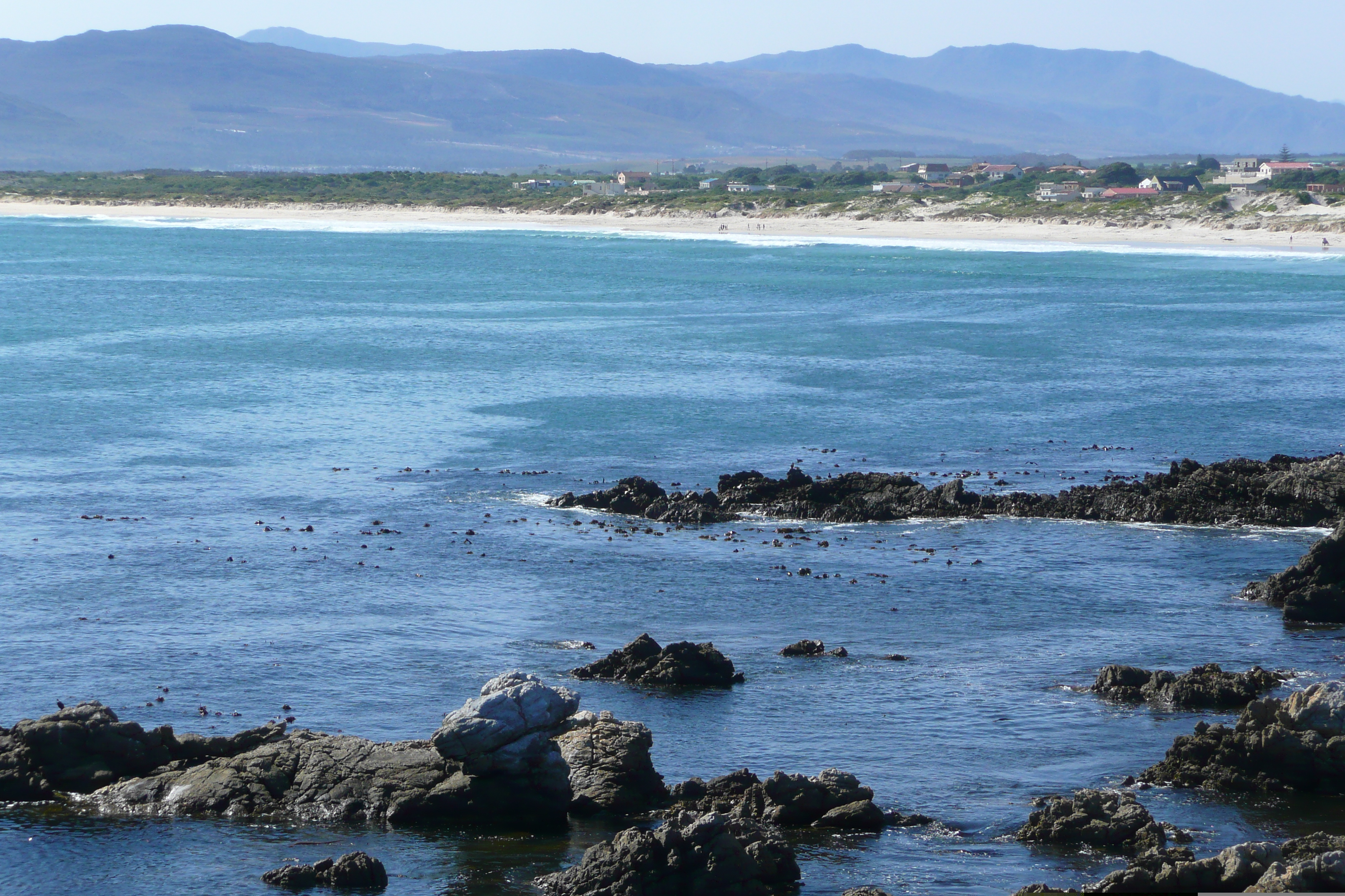 รูปถ่าย แอฟริกาใต้(South Africa) ถนนจากเคปทาวน์ไปเฮอร์มานัส(Cape Town to Harmanus road) 2008-09 5