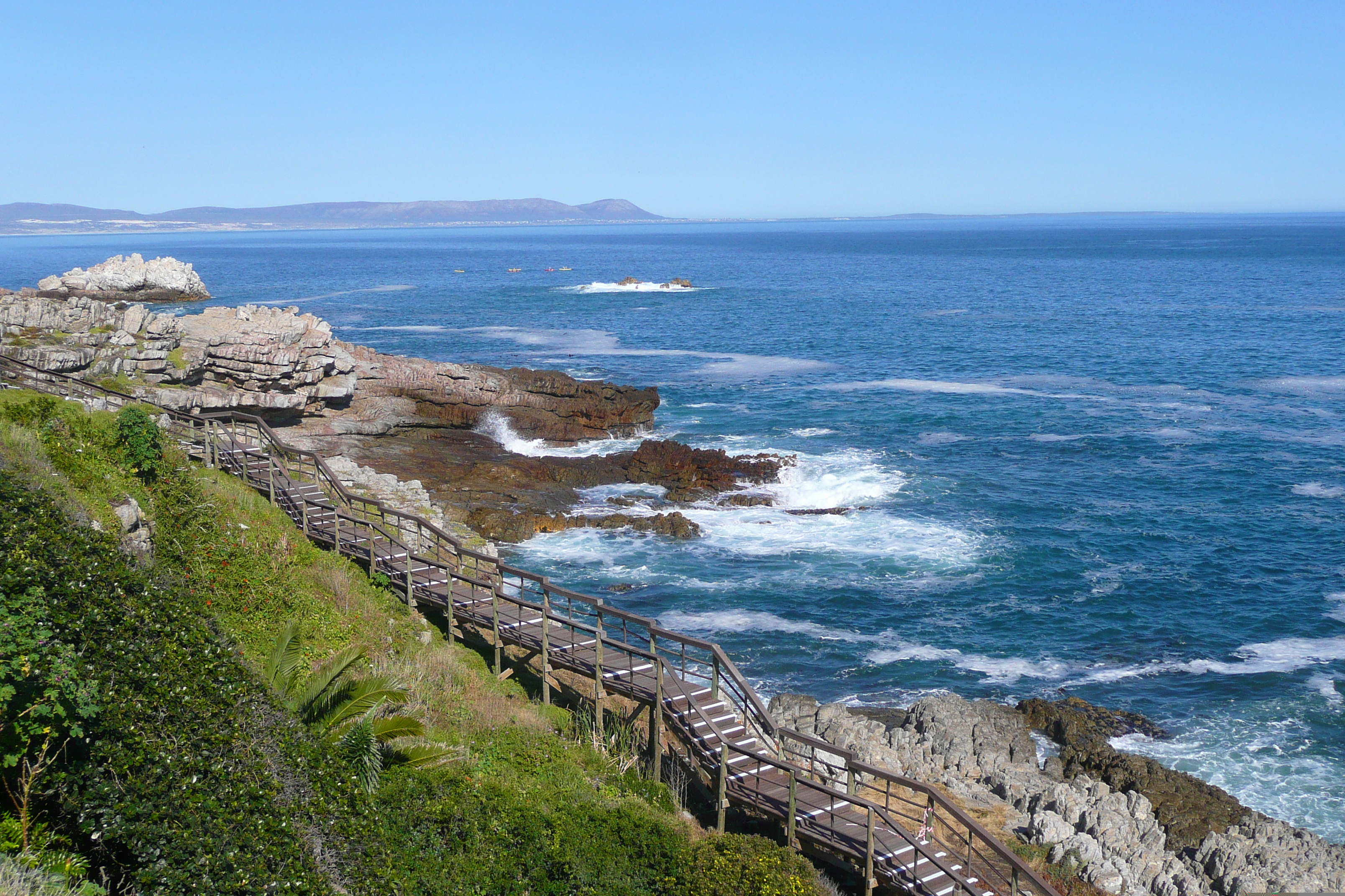 รูปถ่าย แอฟริกาใต้(South Africa) เฮอร์มานัส(Harmanus) 2008-09 299