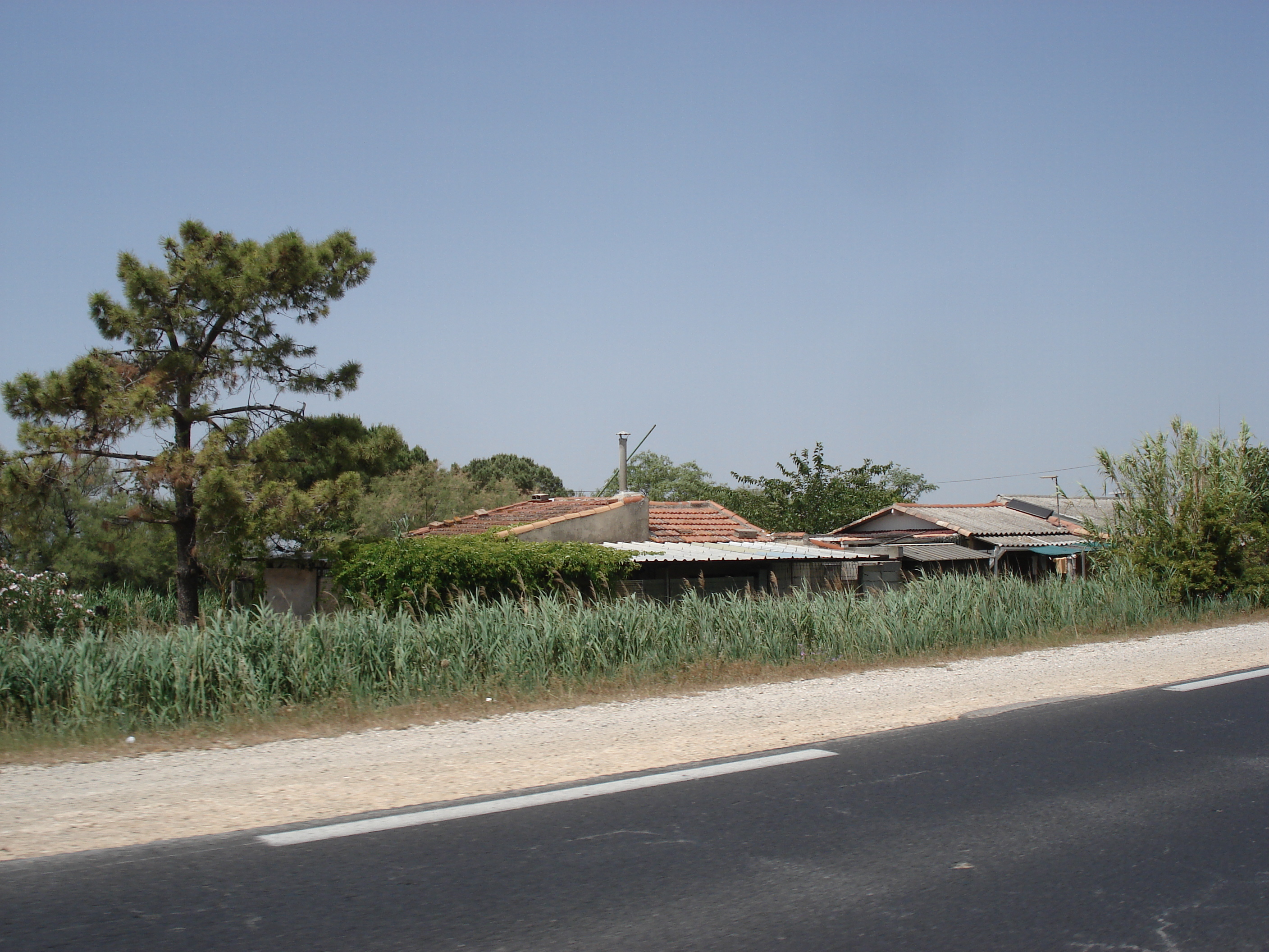 รูปถ่าย ฝรั่งเศส(France) กามาร์เกอ(Camargue) 2006-06 5