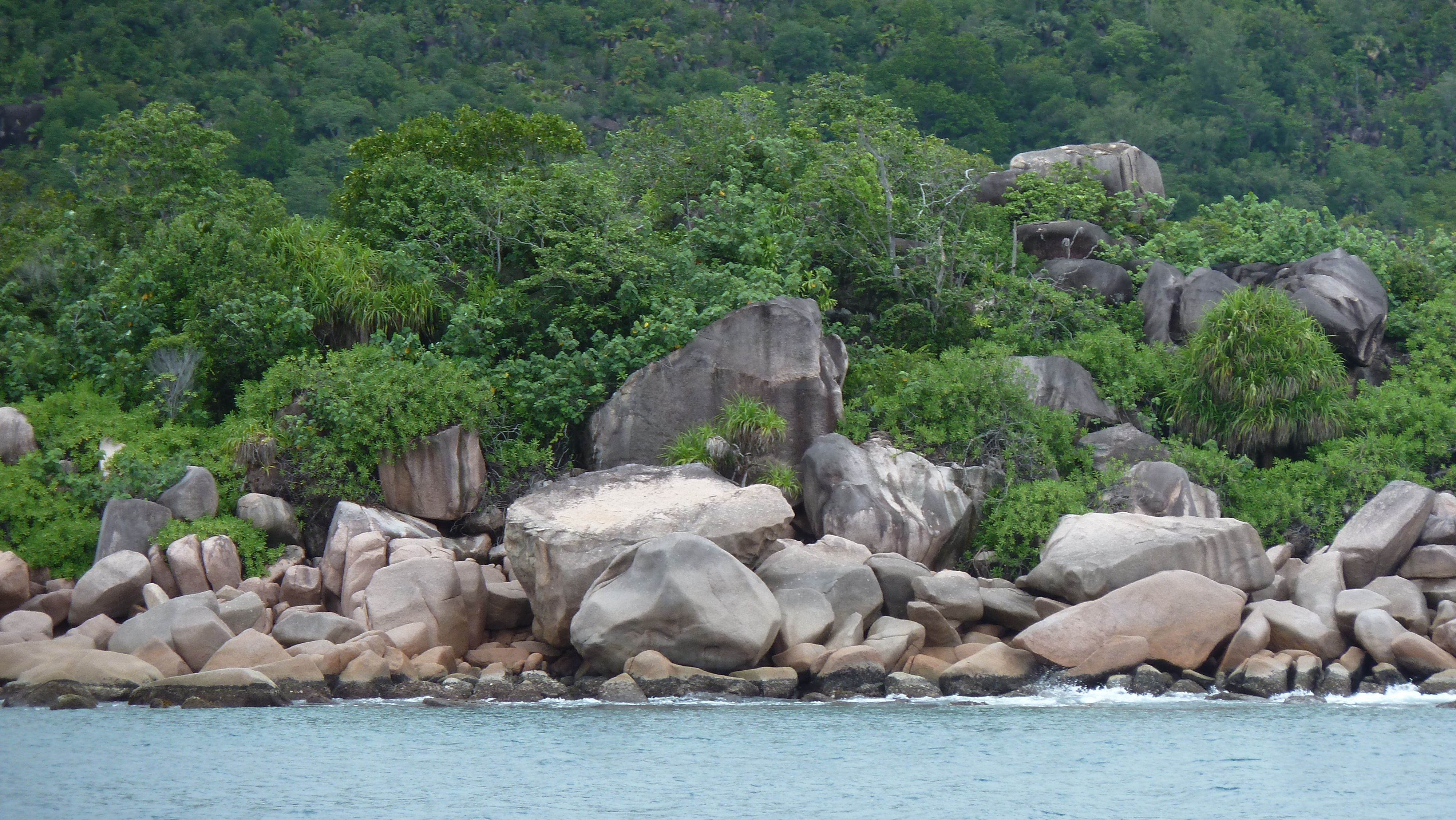 รูปถ่าย เซเชลส์(Seychelles) อ่าวอ็องส์ปอสเซสซียง(Anse Possession) 2011-10 93