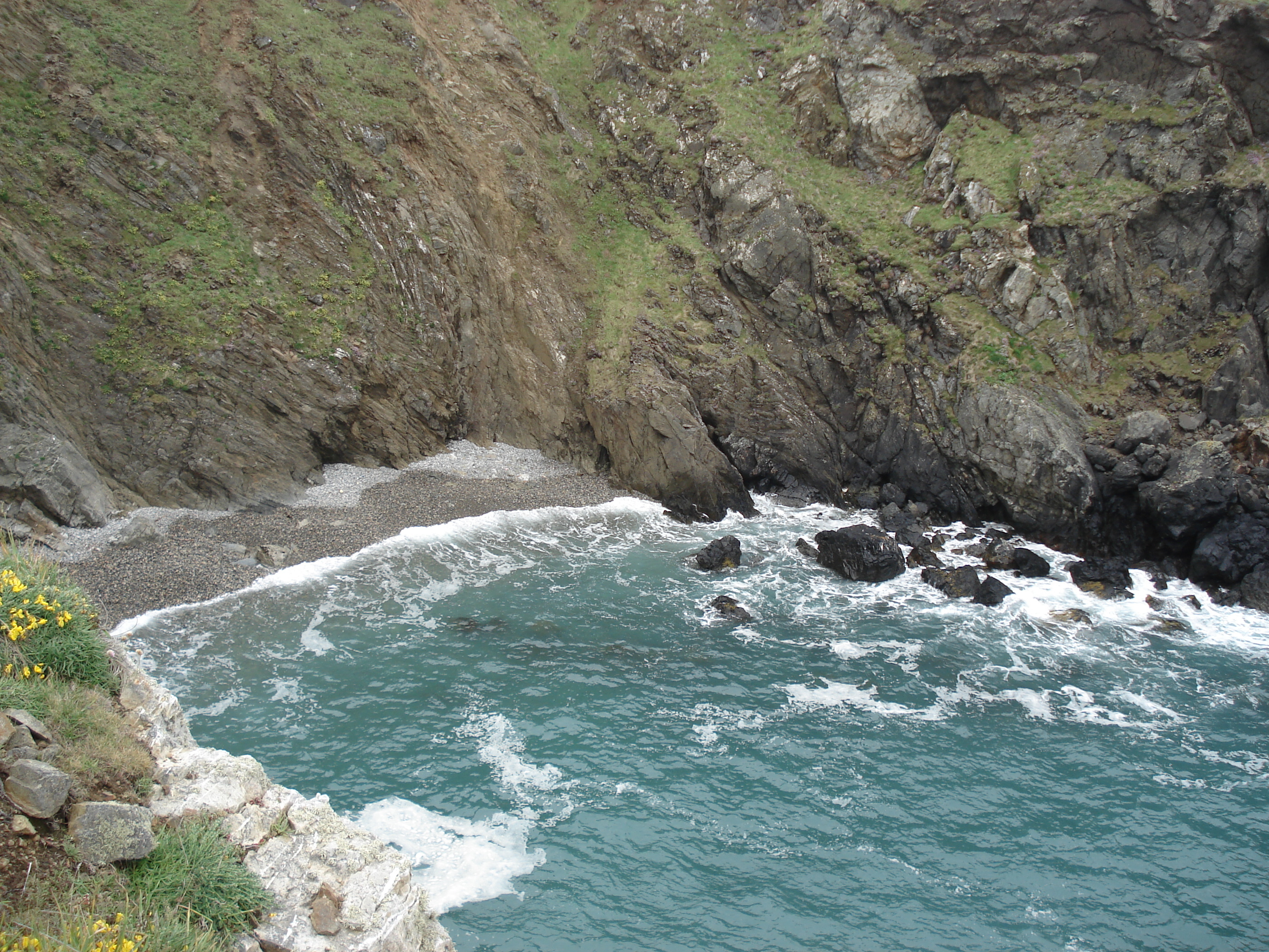 รูปถ่าย อังกฤษ(United Kingdom) เปมโบรคเชอร์(Pembrokeshire) มาร์ตินส์เฮเวน(Martins Havens) 2006-05 25