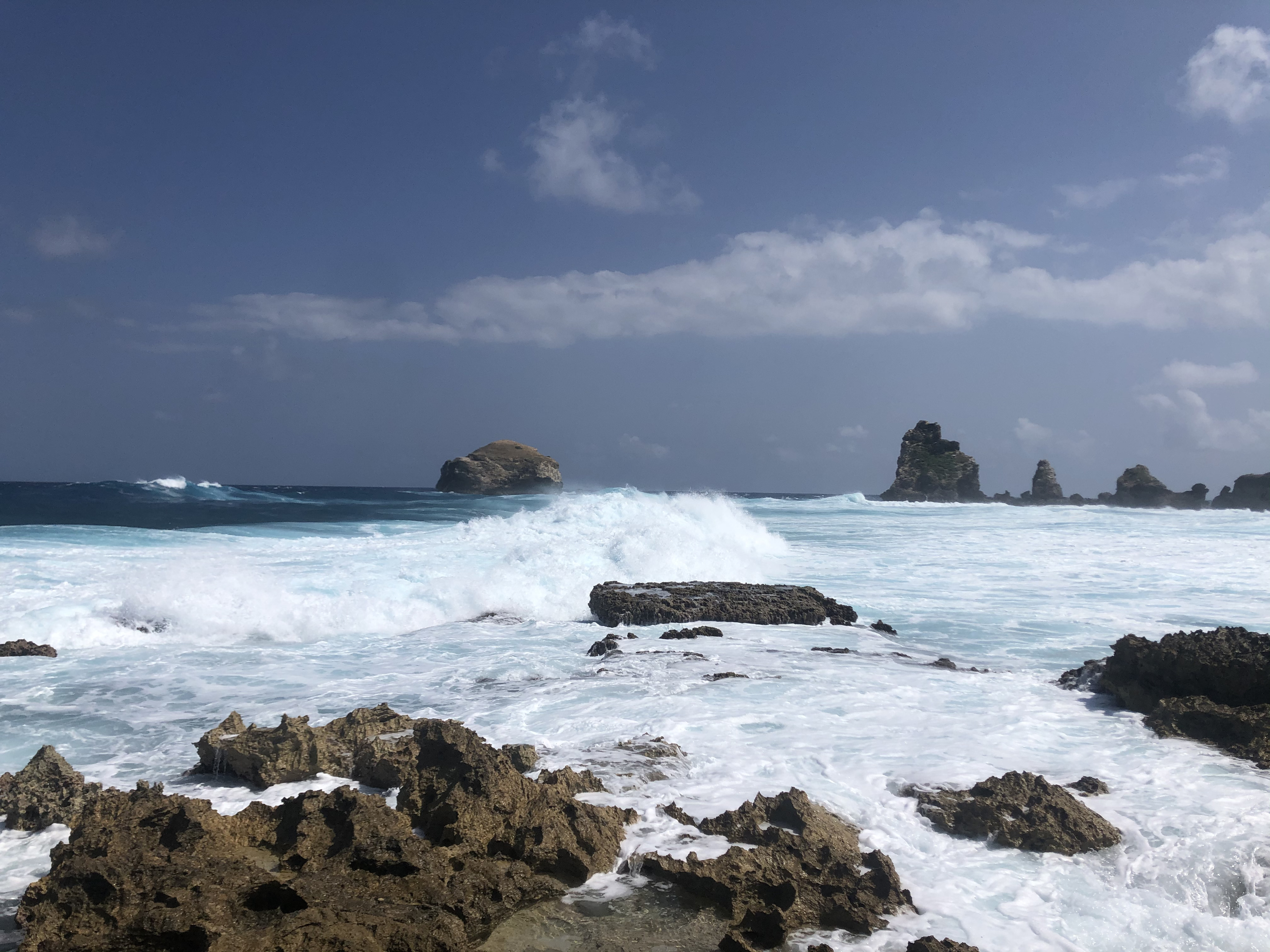 รูปถ่าย กวาเดอลูป(Guadeloupe) แหลมคาสเซิลพอยต์(Castle Point) 2021-02 34