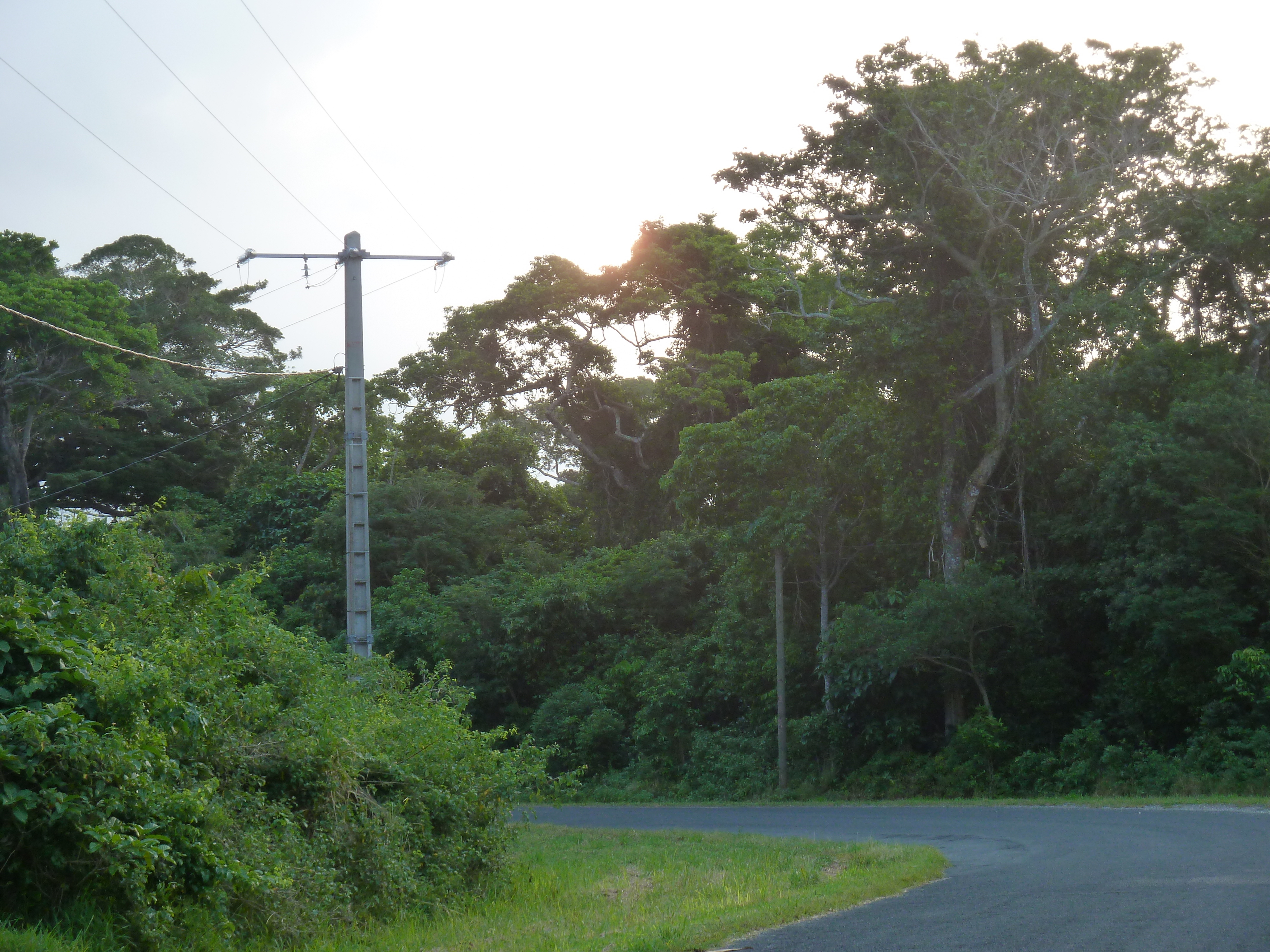 รูปถ่าย นิวแคลิโดเนีย(New Caledonia) เกาะต้นสน(Ile des pins) 2010-05 32