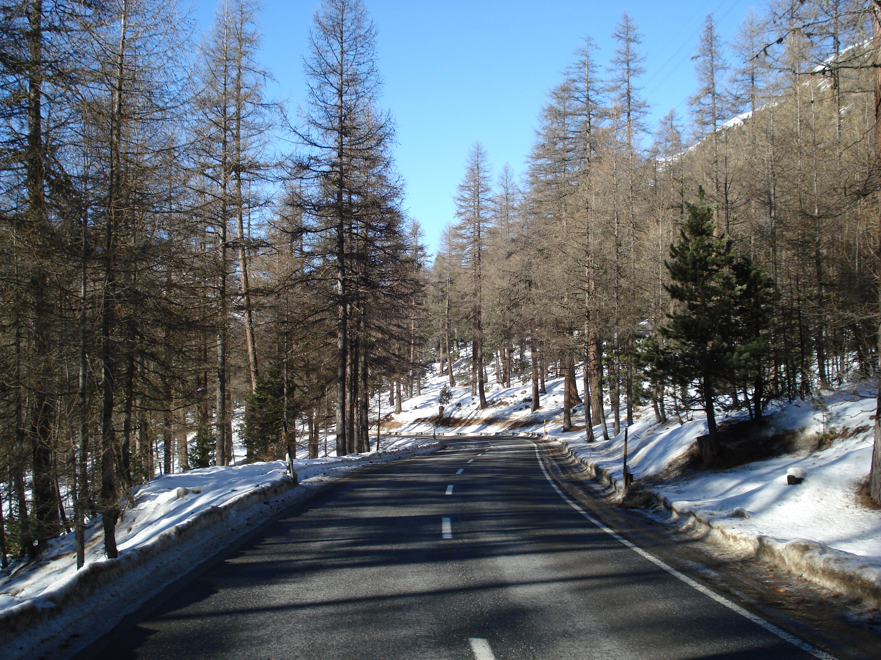 รูปถ่าย สวิสเซอร์แลนด์(Switzerland) จากปอนเตรซีนาไปลาโกเบียนโก(From Pontresina to Lago Bianco) 2007-01 74