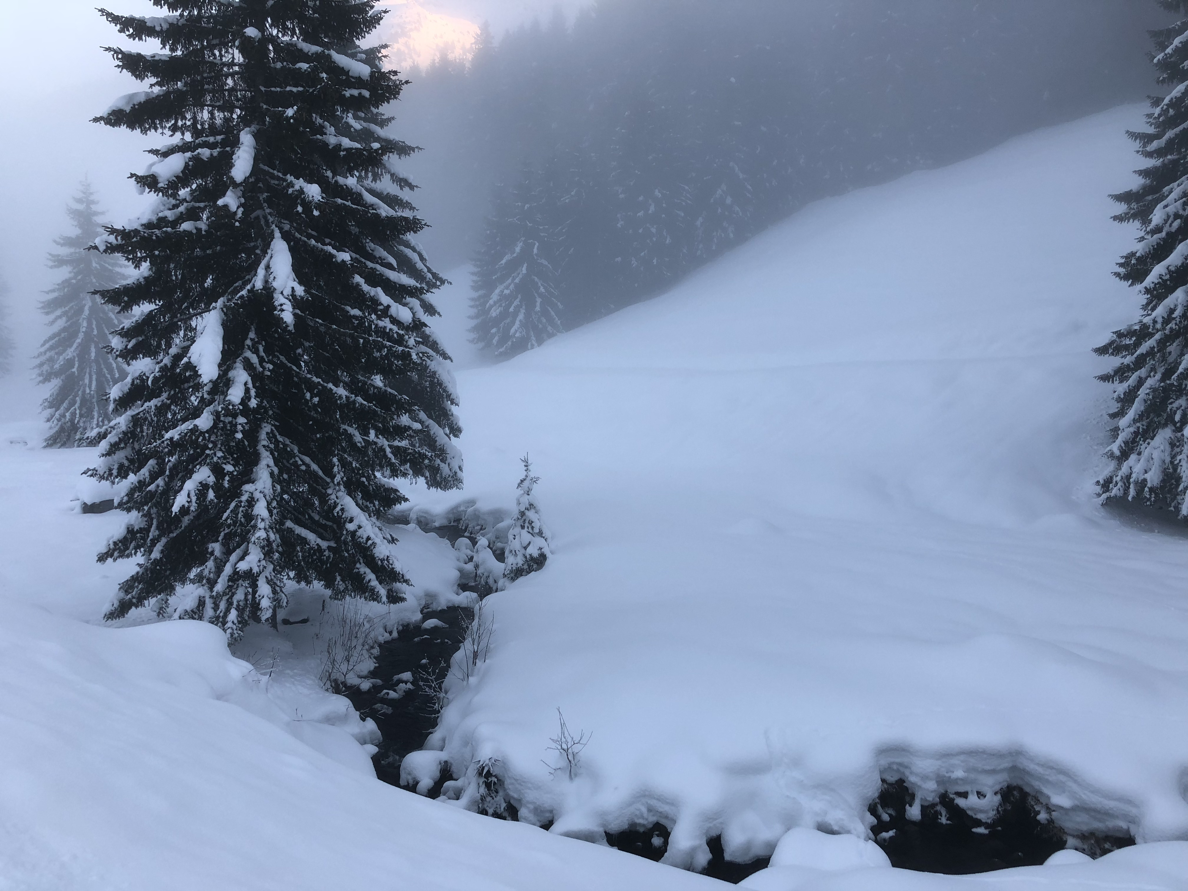 รูปถ่าย ฝรั่งเศส(France) ลากลูซา(La Clusaz) 2017-12 313