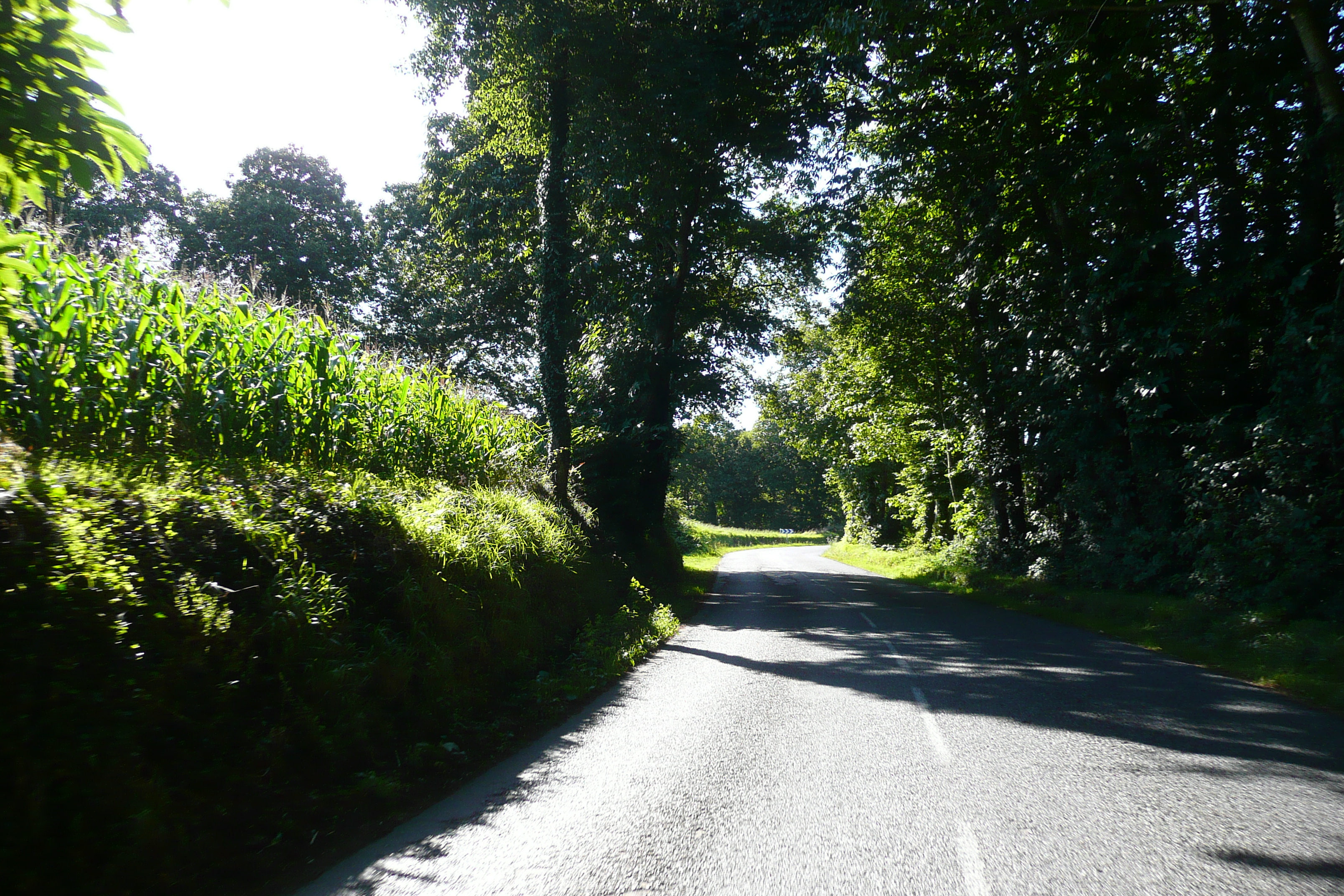 รูปถ่าย ฝรั่งเศส(France) ถนนปงตาแวน(Pont Aven road) 2008-07 1