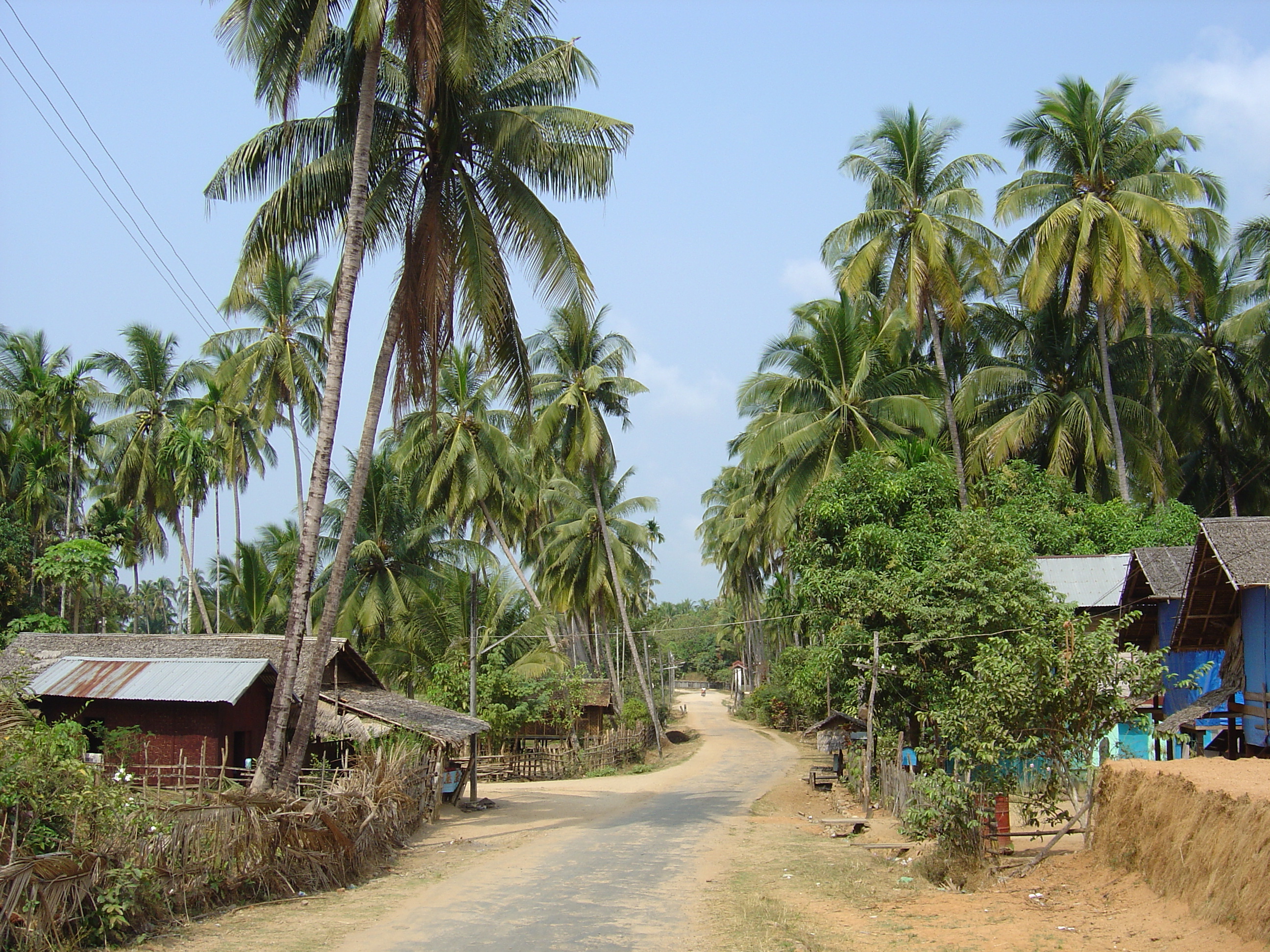 รูปถ่าย พม่า(Myanmar) หาดหม่องมะกันด้านเหนือ(Maungmagan North) 2005-01 10