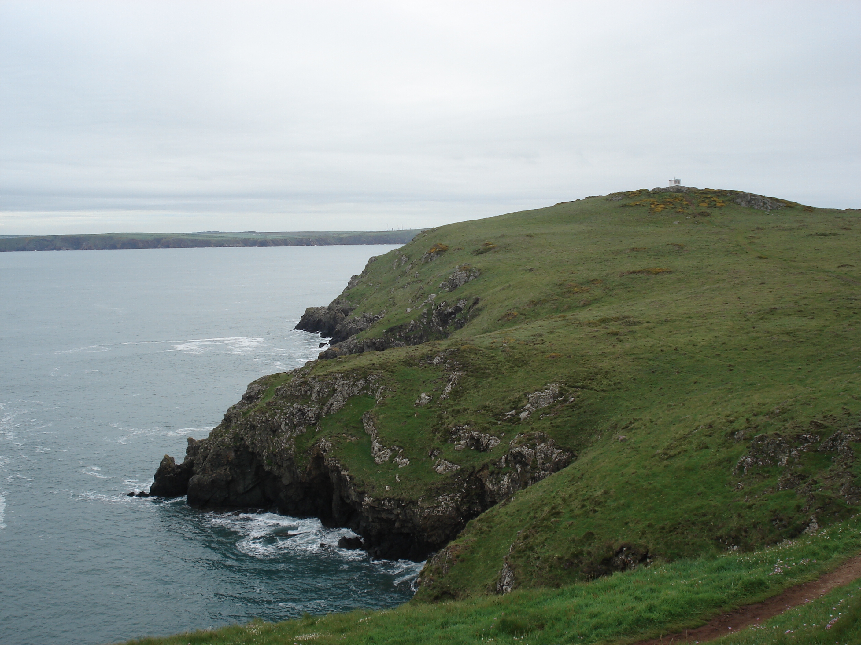 รูปถ่าย อังกฤษ(United Kingdom) เปมโบรคเชอร์(Pembrokeshire) มาร์ตินส์เฮเวน(Martins Havens) 2006-05 22