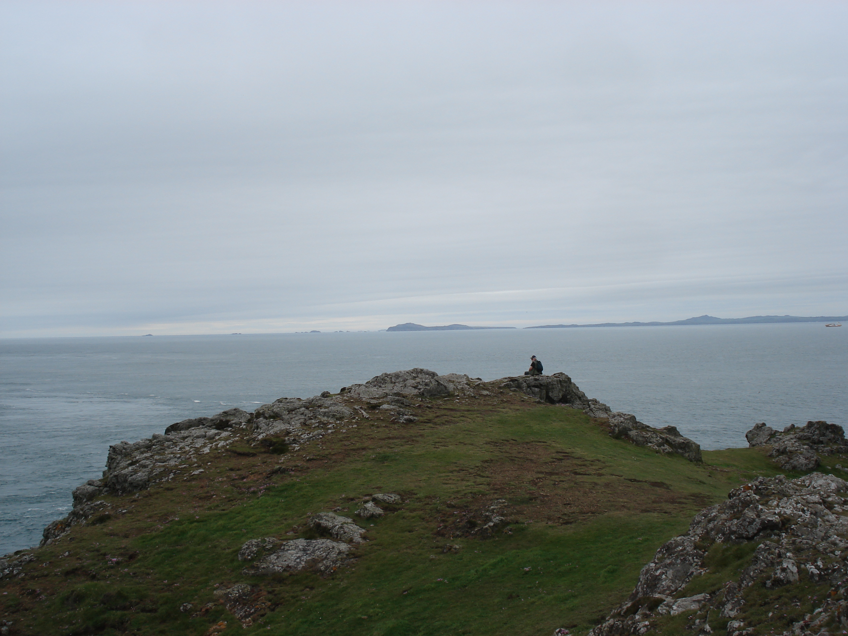 รูปถ่าย อังกฤษ(United Kingdom) เปมโบรคเชอร์(Pembrokeshire) มาร์ตินส์เฮเวน(Martins Havens) 2006-05 16