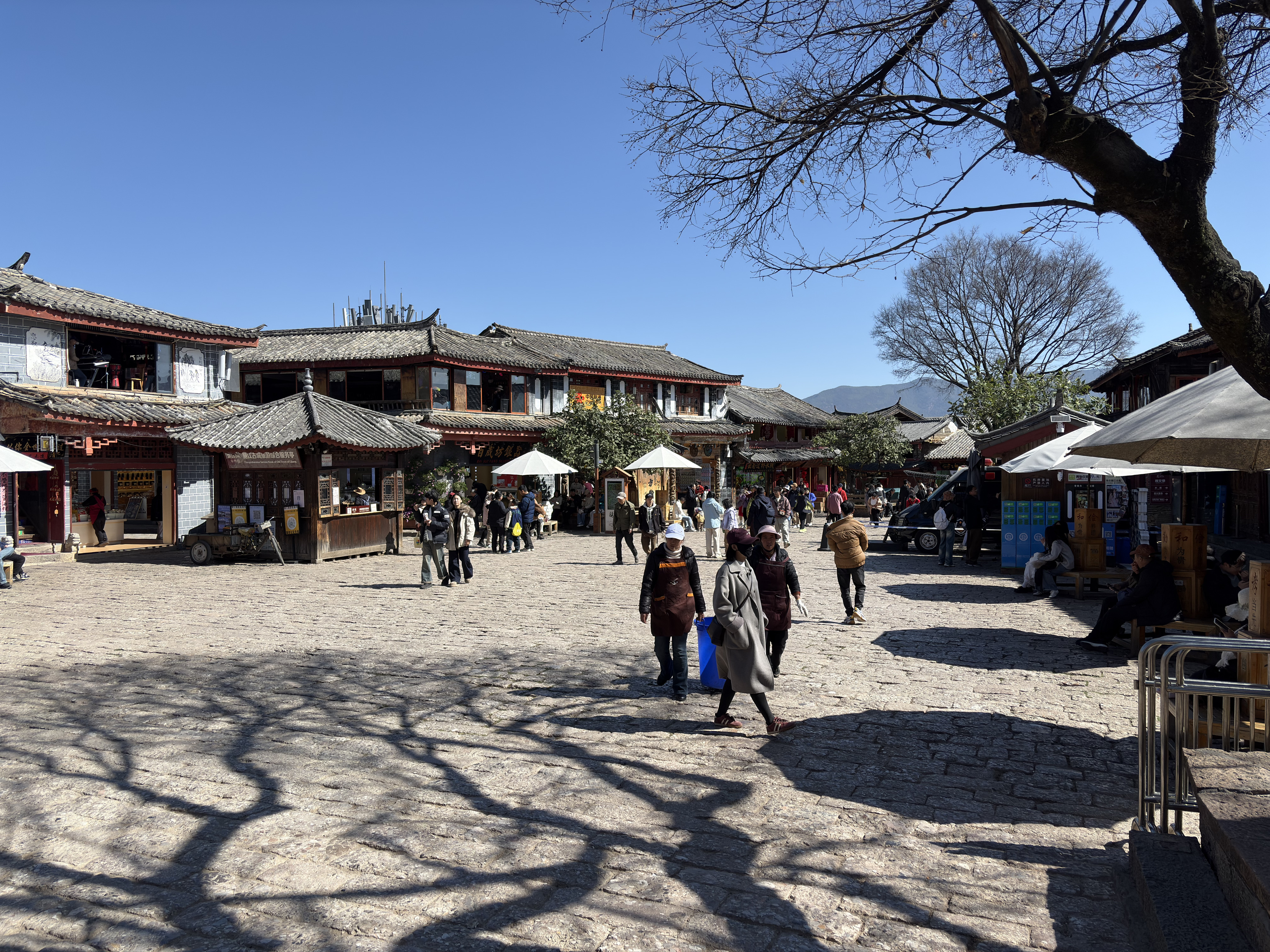 รูปถ่าย จีน(China) ลี่เจียง(Lijiang) 2026-01 569