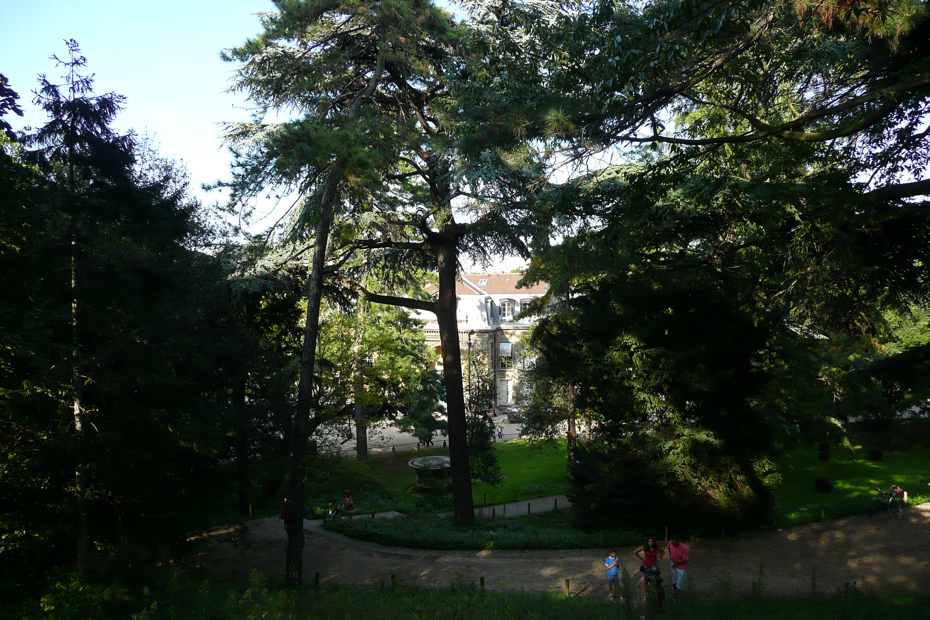 รูปถ่าย ฝรั่งเศส(France) ปารีส(Paris) สวนพันธ์ุพืช(Jardin des Plantes) 2007-08 14