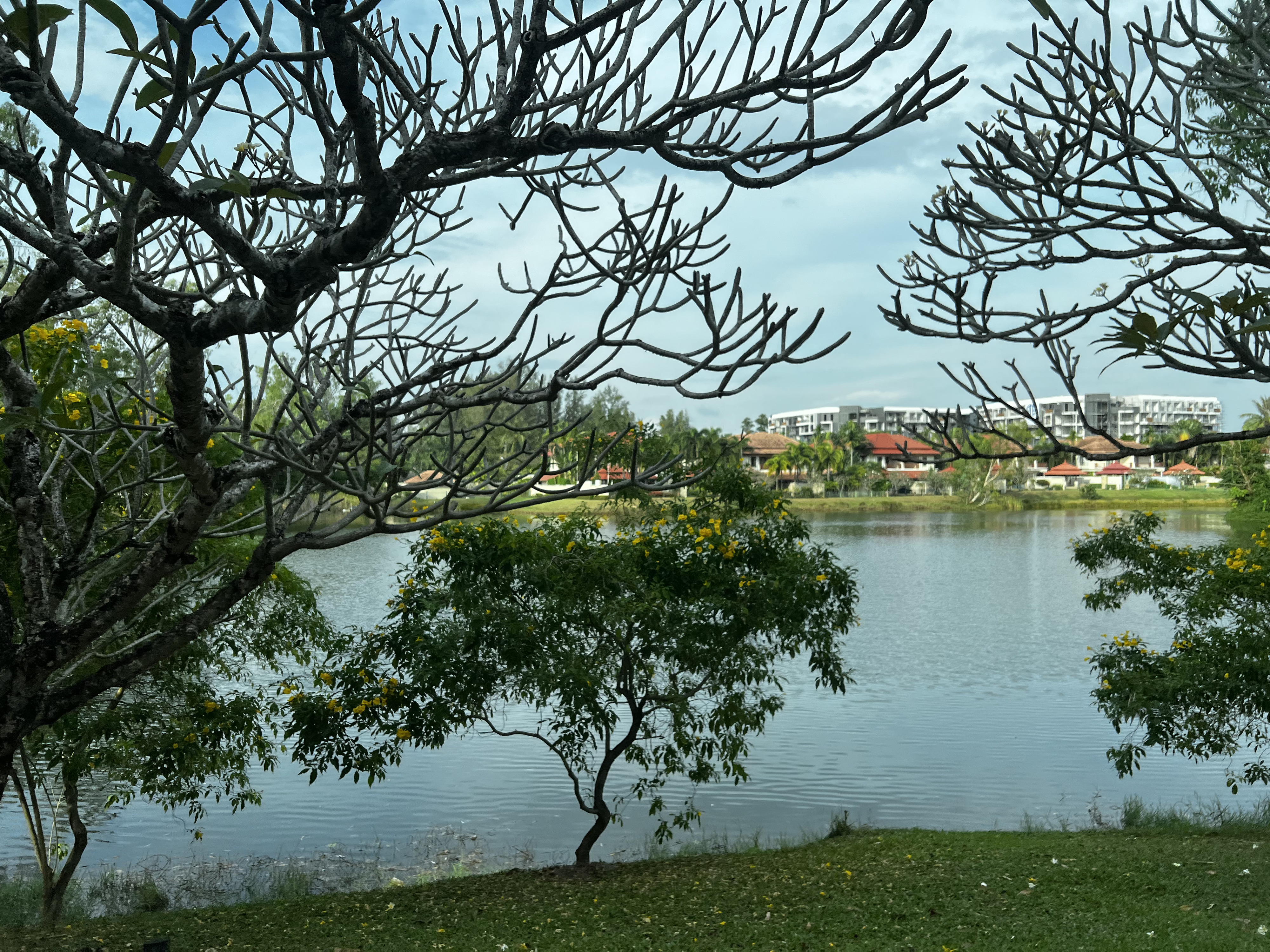 รูปถ่าย ไทย(Thailand) ภูเก็ต(Phuket) รอบภูเก็ต(Around Phuket) 2021-12 20