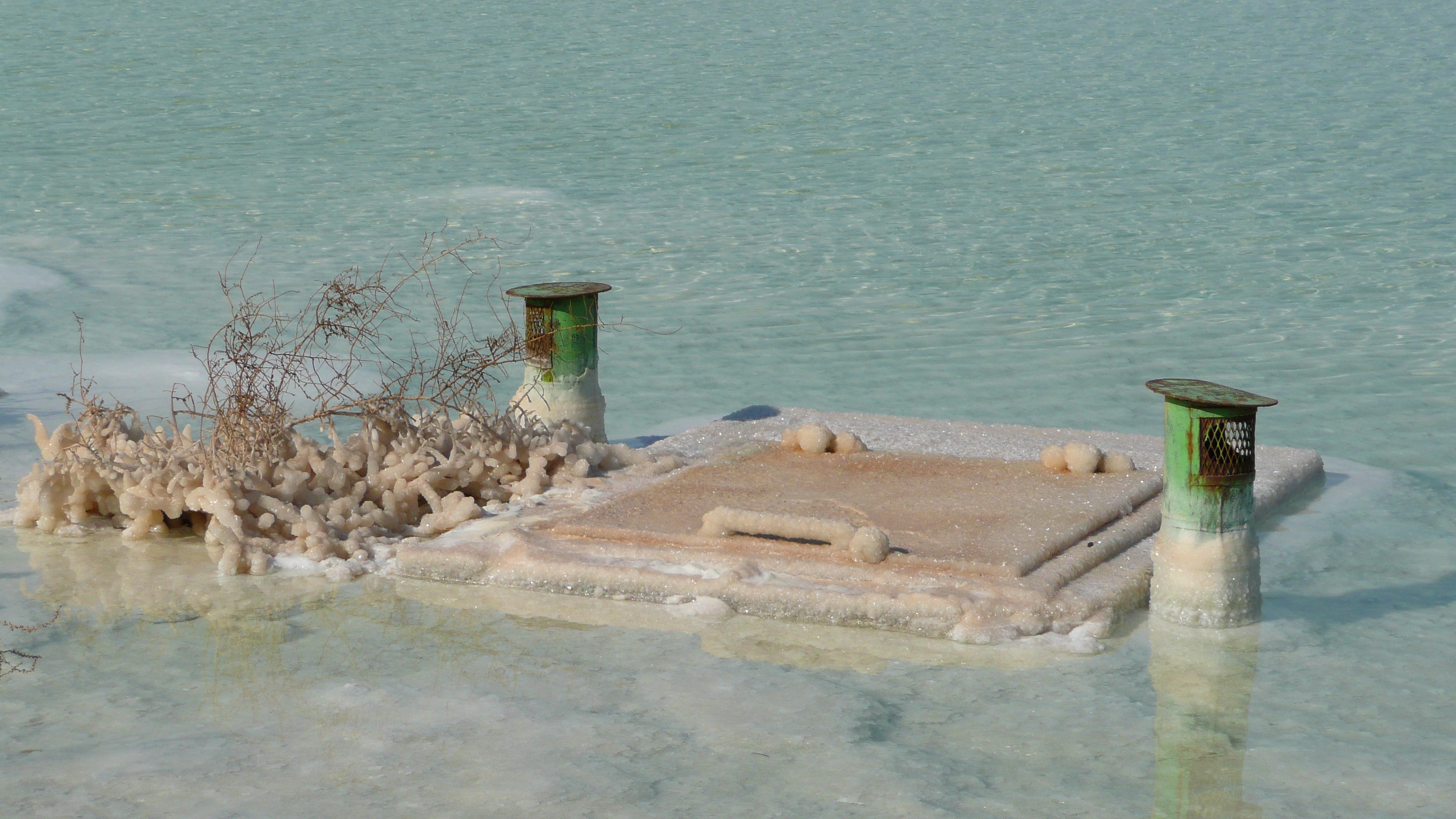 รูปถ่าย อิสราเอล(Israel) อึนโบเกก(Boqeq) 2007-06 69