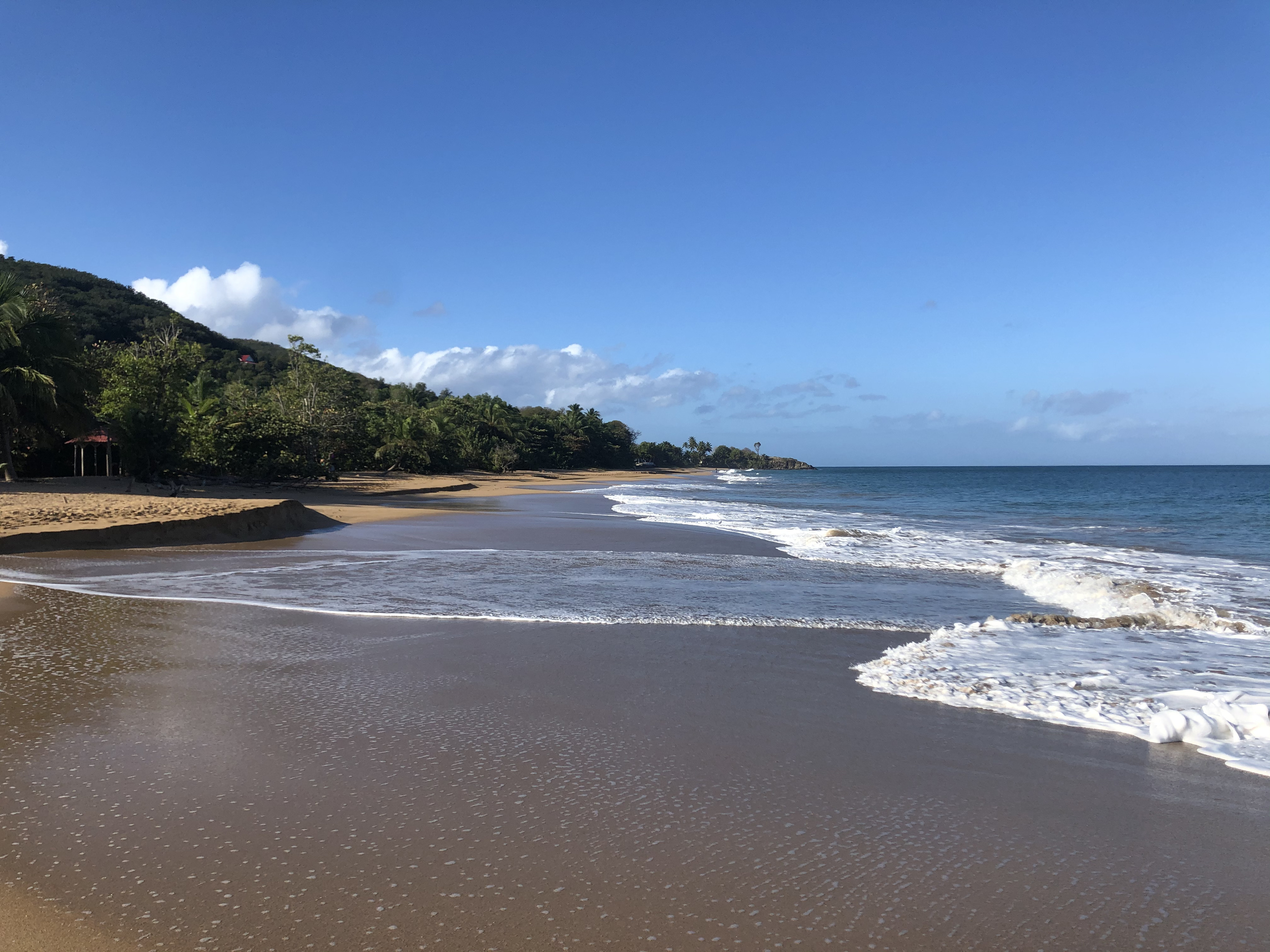 รูปถ่าย กวาเดอลูป(Guadeloupe) หาดลาแปร์ล(La Perle Beach) 2021-02 131