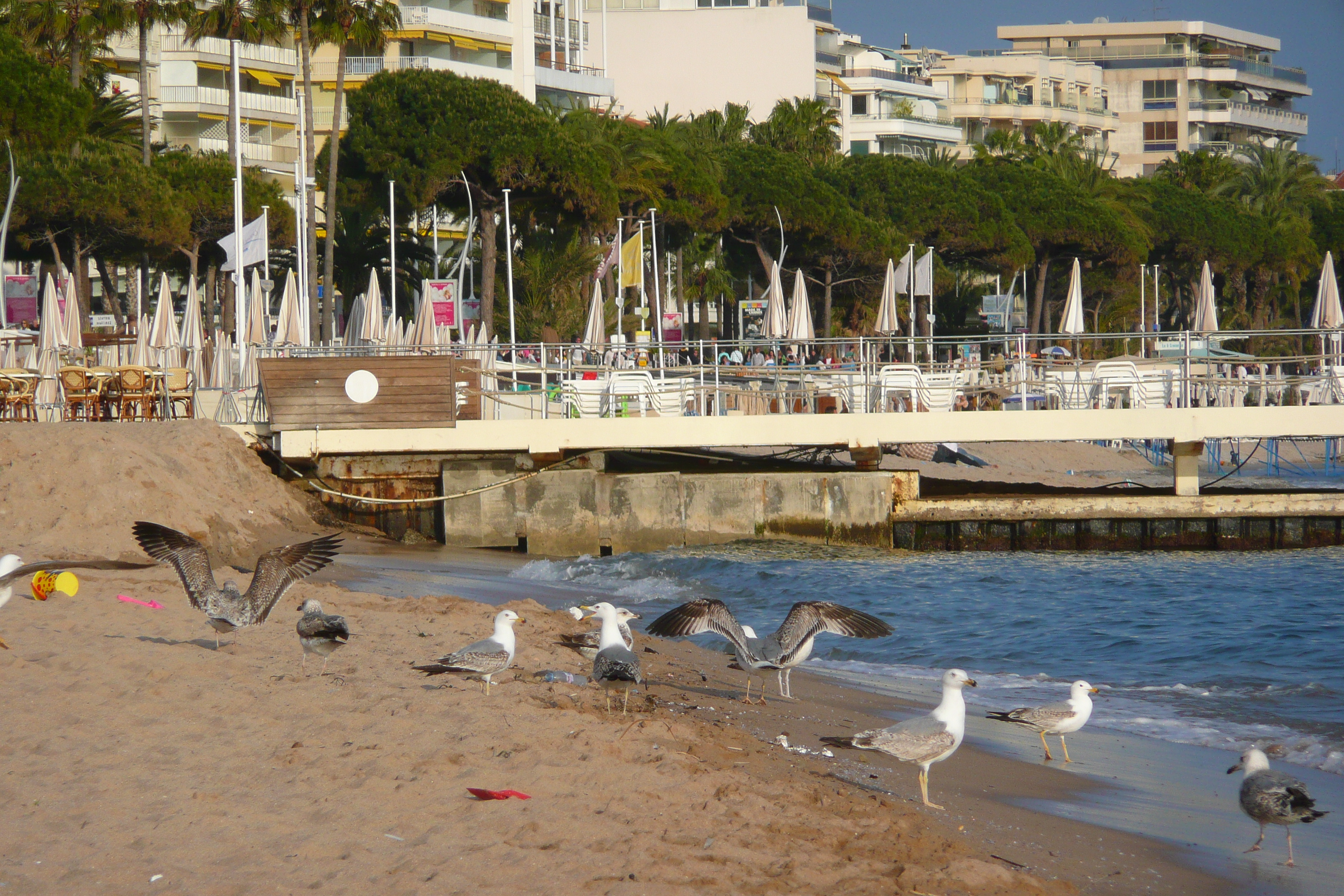รูปถ่าย ฝรั่งเศส(France) คานส์(Cannes) หาดทราย(Beach) 2008-04 47