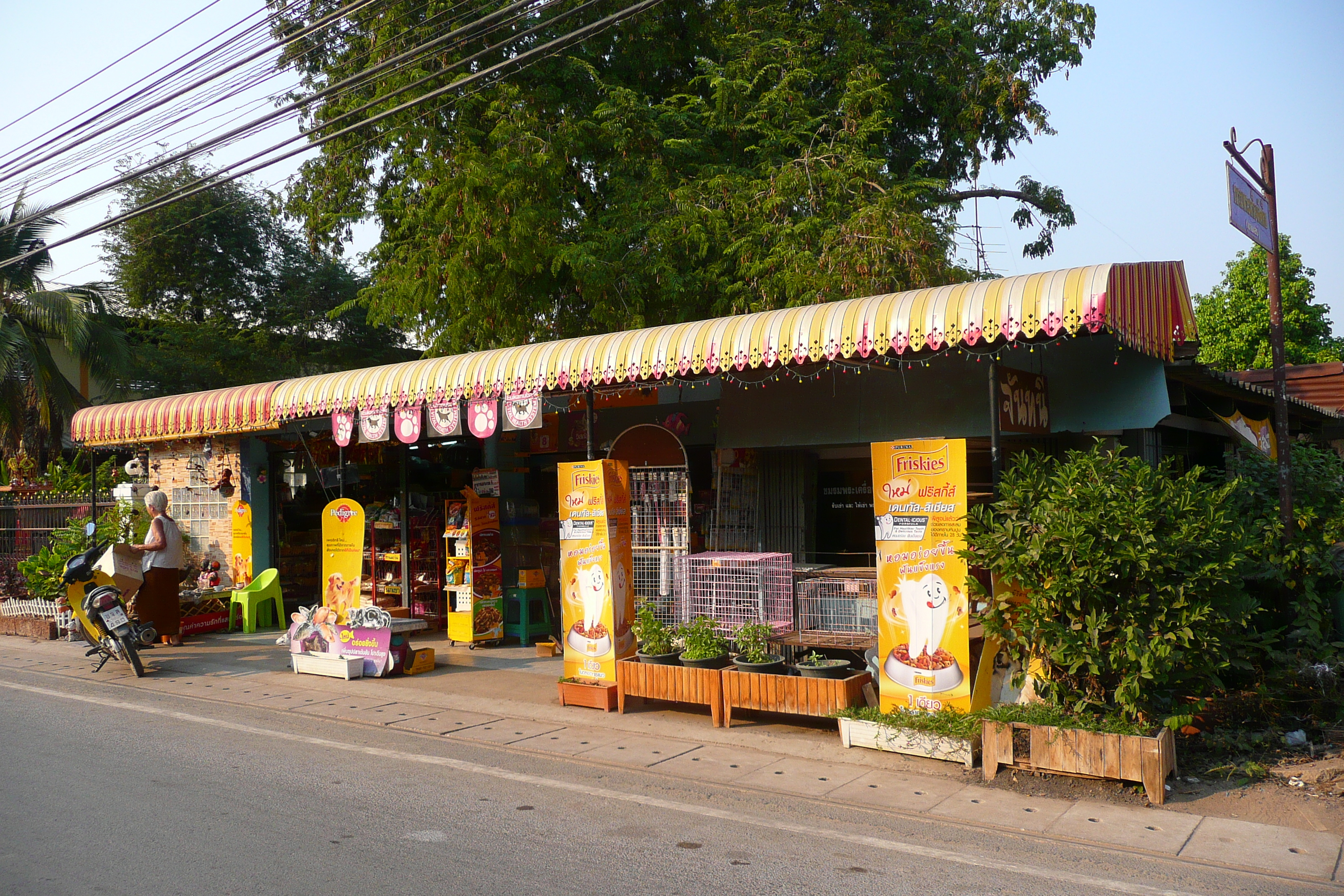 รูปถ่าย ไทย(Thailand) ชลบุรี(Chonburi) บางเสร่(Bang Saray) 2008-01 50