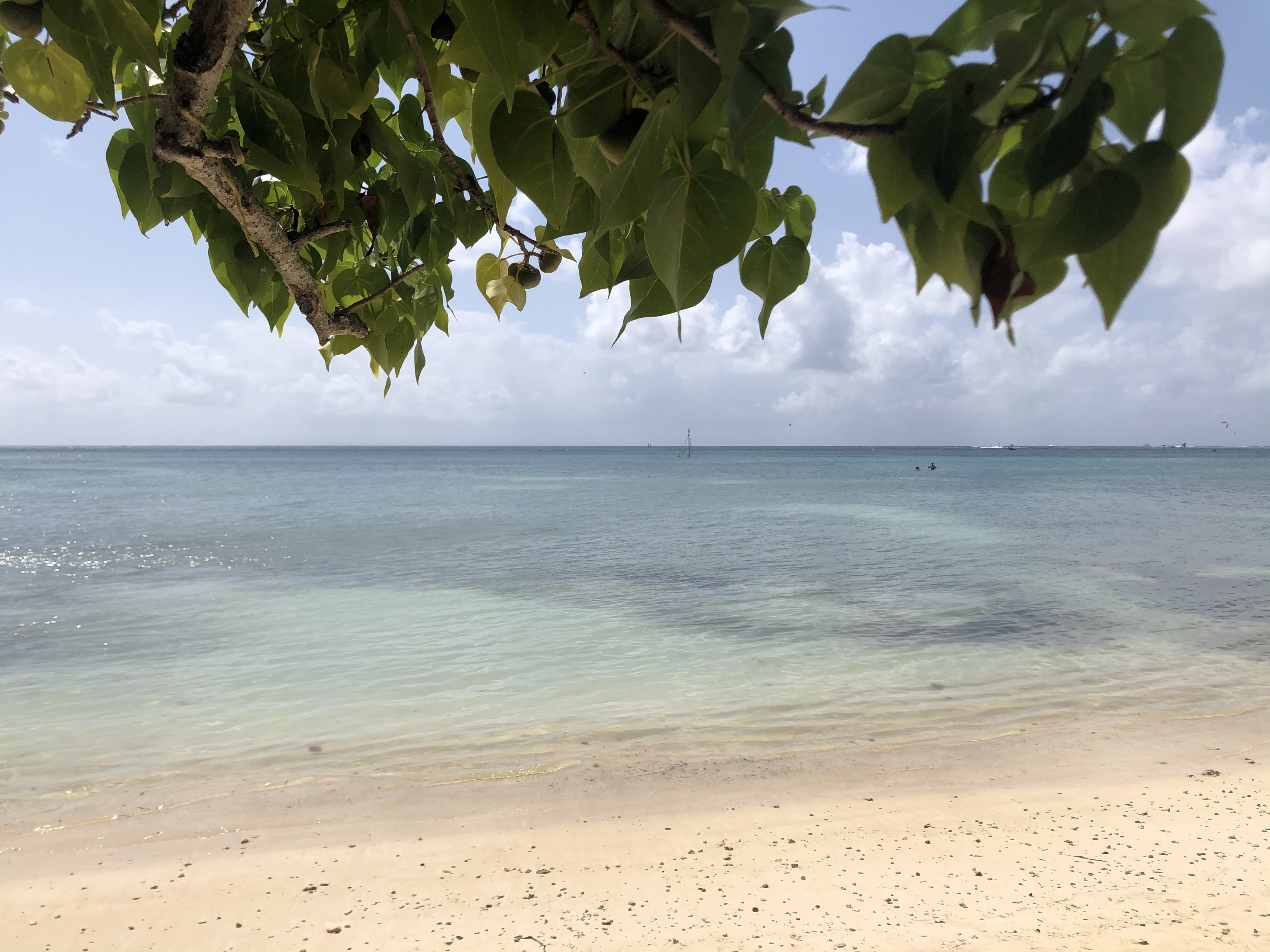 รูปถ่าย กวาเดอลูป(Guadeloupe) แซ็งฟร็องซัว(Saint Francois) 2021-02 40
