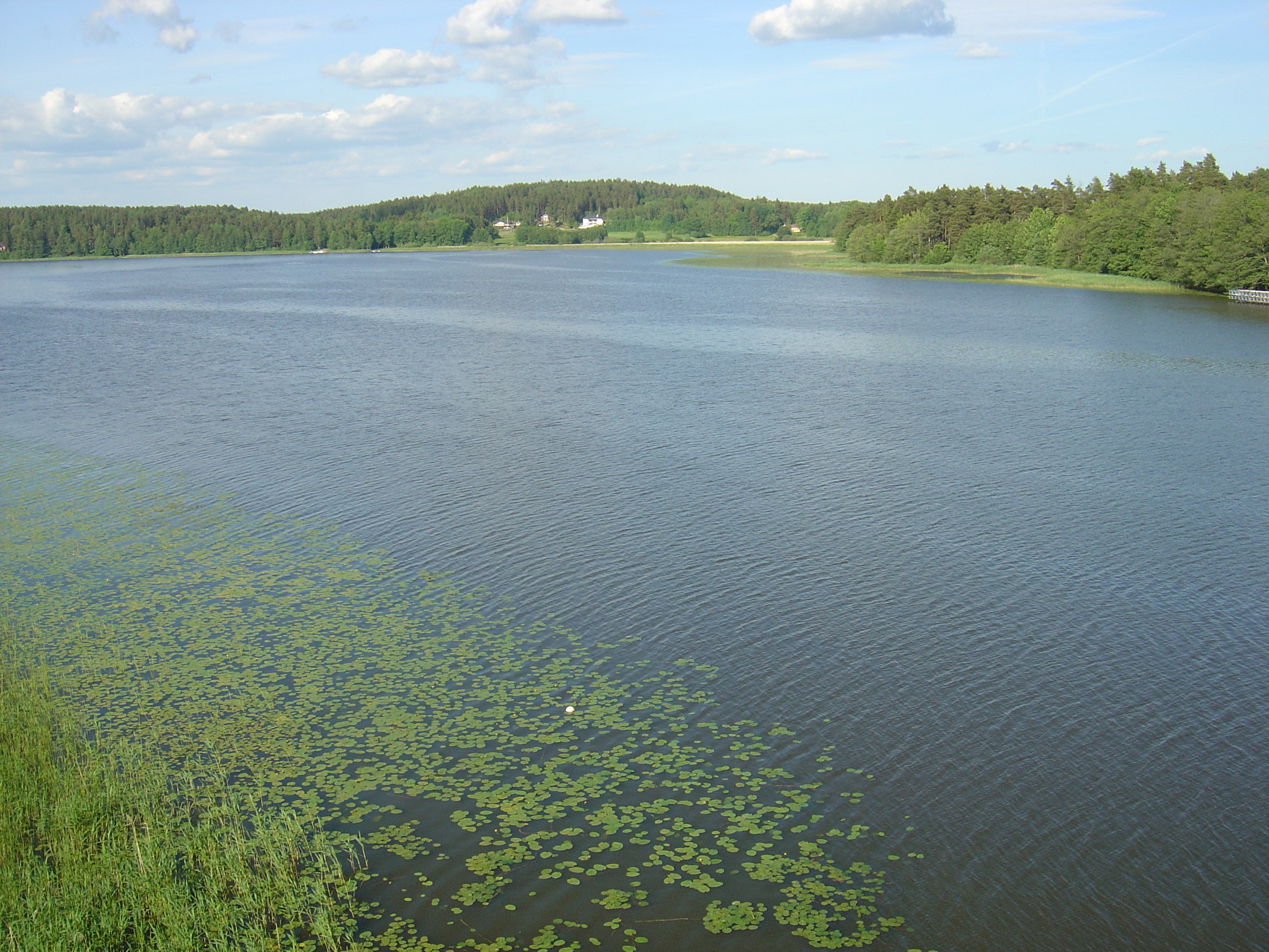 รูปถ่าย สวีเดน(Sweden) ซิกตูนา(Sigtuna) 2005-06 15