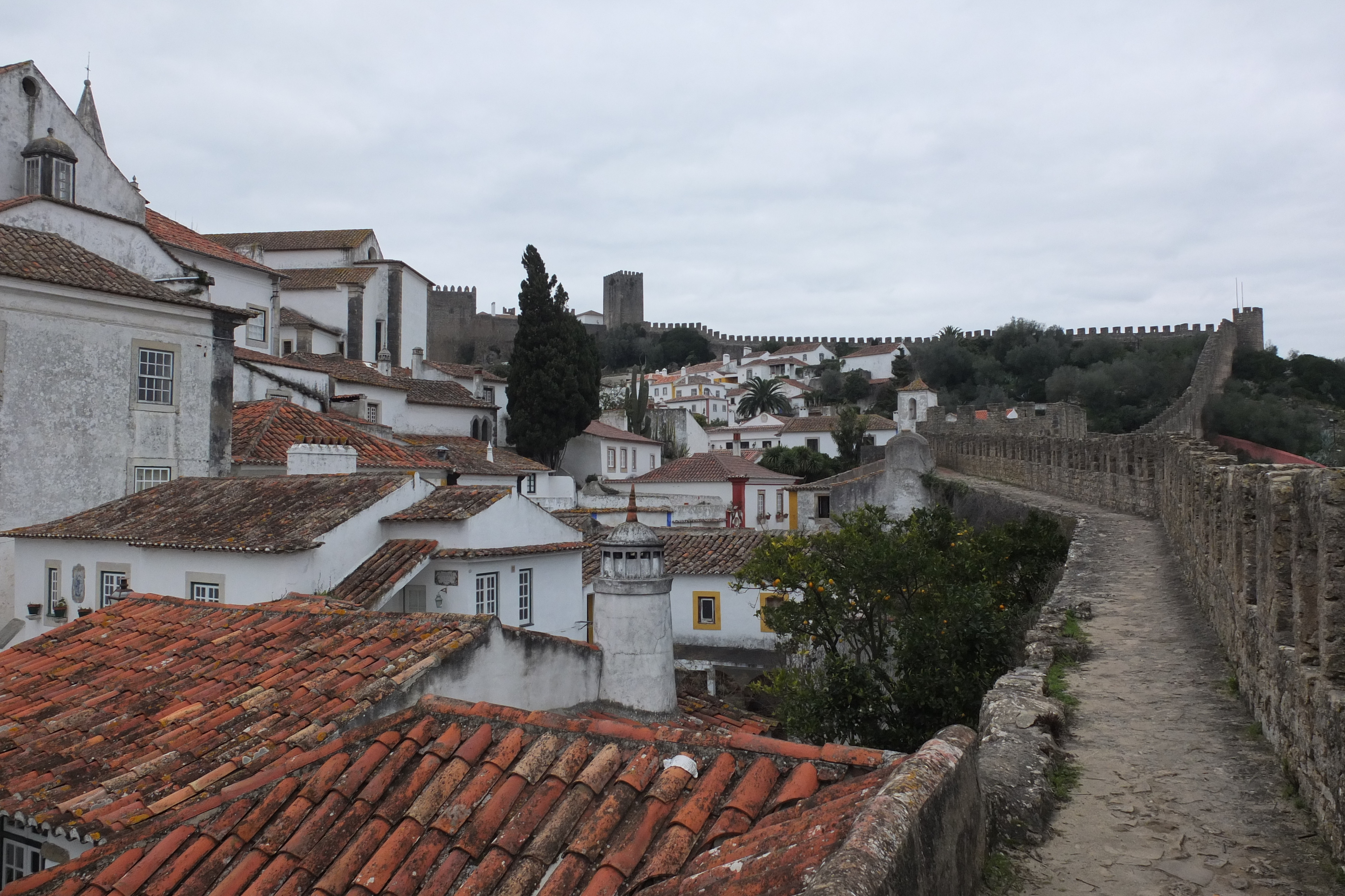 รูปถ่าย โปรตุเกส(Portugal) โอบีโดส(Obidos) 2013-01 55