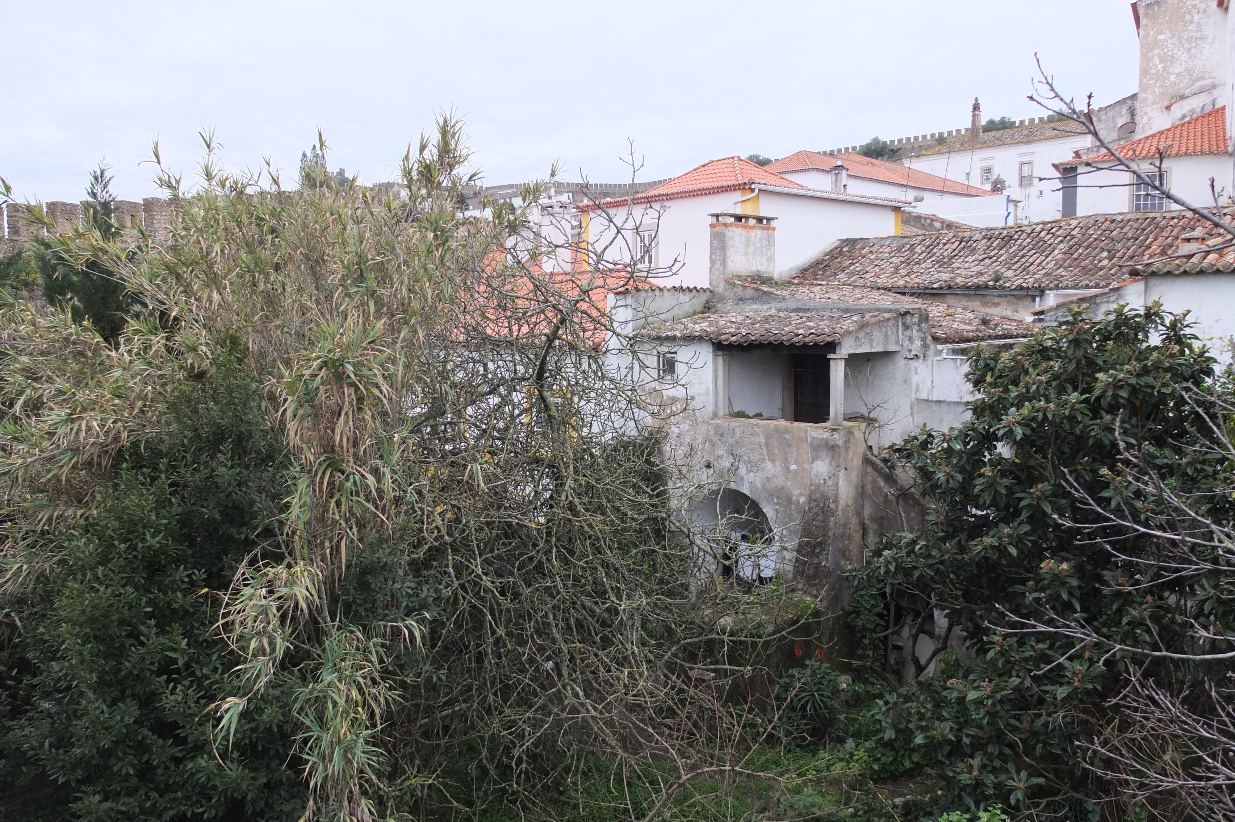 รูปถ่าย โปรตุเกส(Portugal) โอบีโดส(Obidos) 2013-01 63