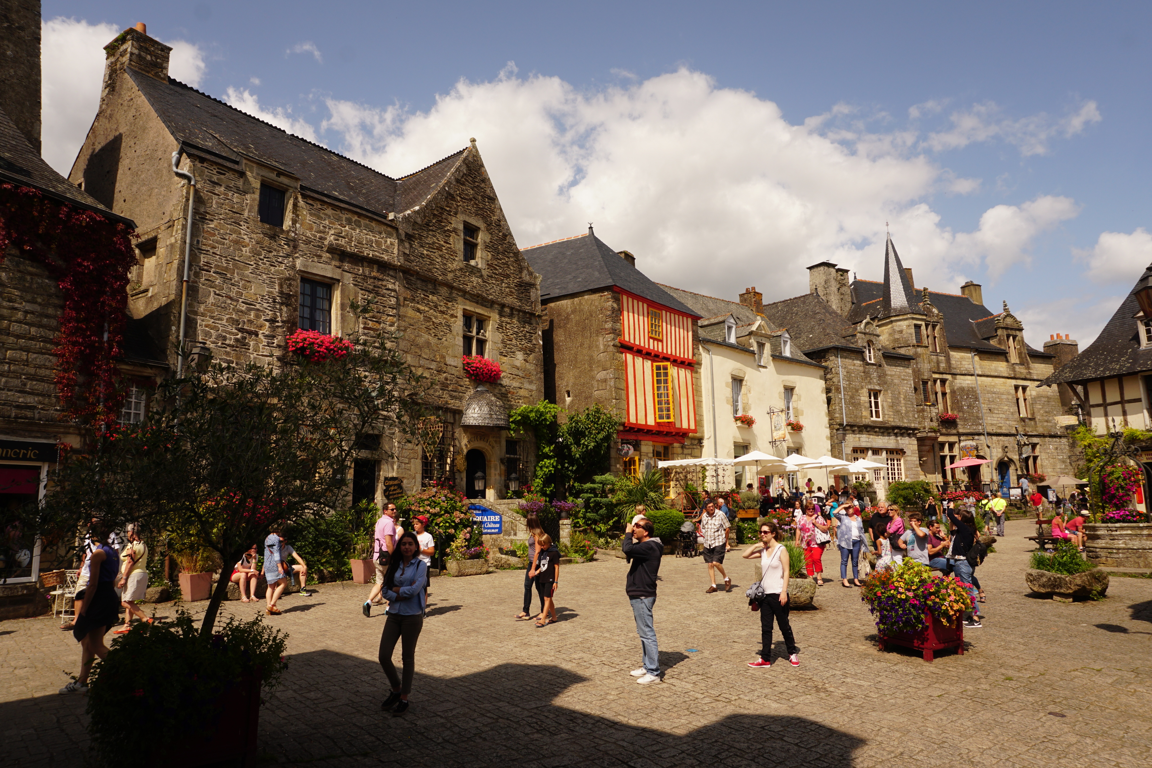 รูปถ่าย ฝรั่งเศส(France) รอชฟอร์-อ็อง-แตร์(Rochefort en terre) 2017-08 61