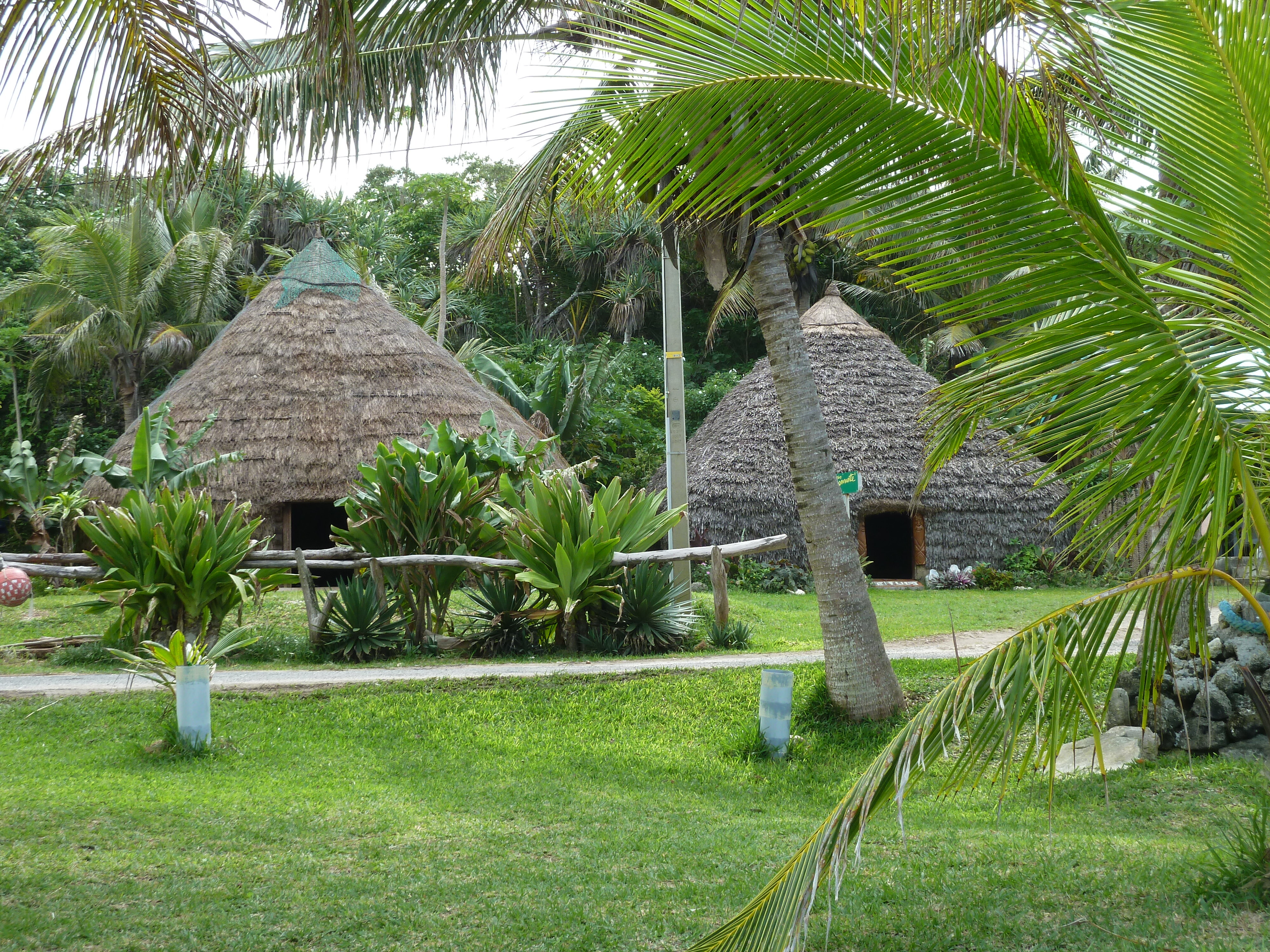 รูปถ่าย นิวแคลิโดเนีย(New Caledonia) 2010-05 129