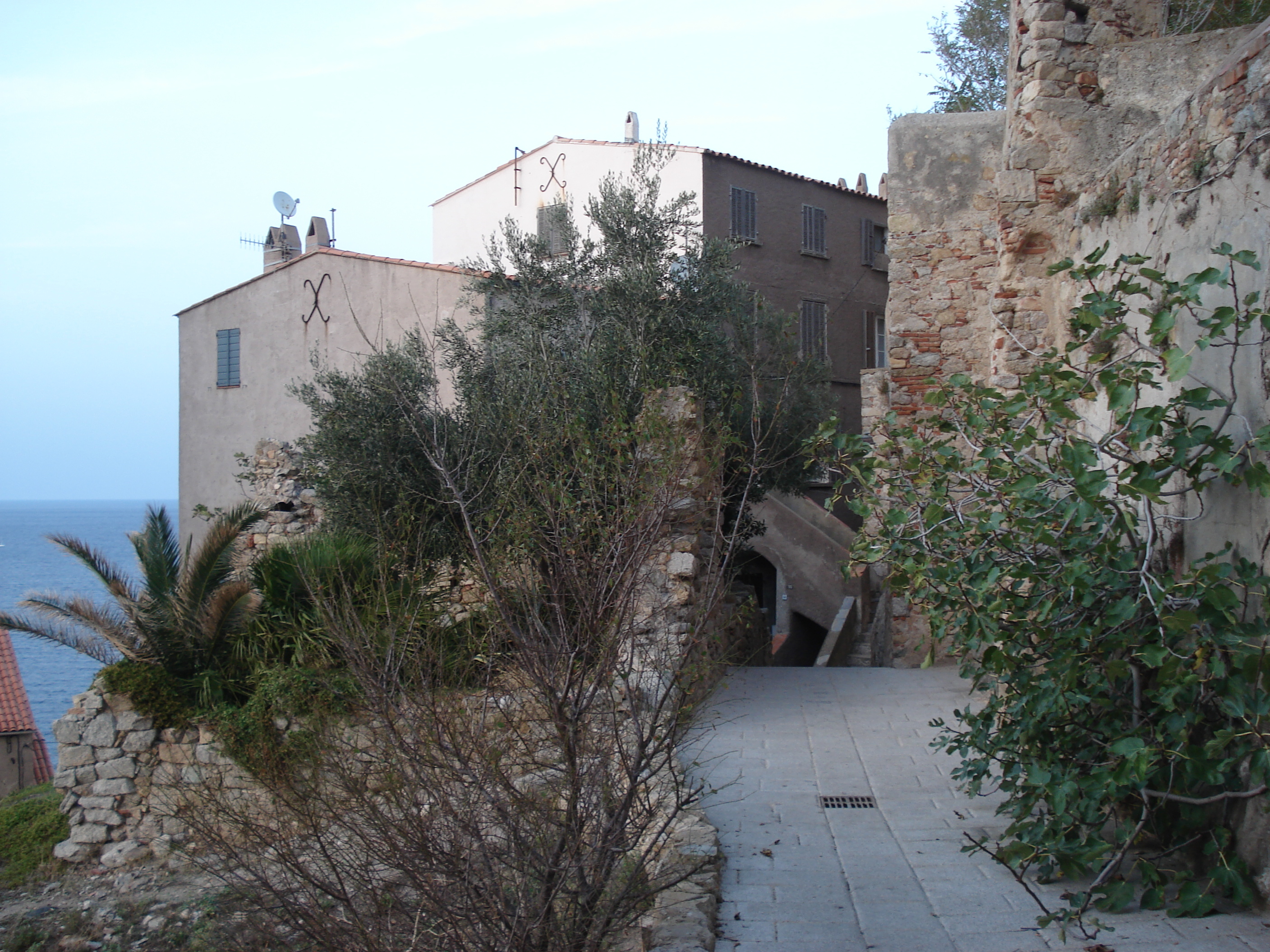 รูปถ่าย ฝรั่งเศส(France) คอร์สิคา(Corsica) คาลวี(Calvi) 2006-09 47