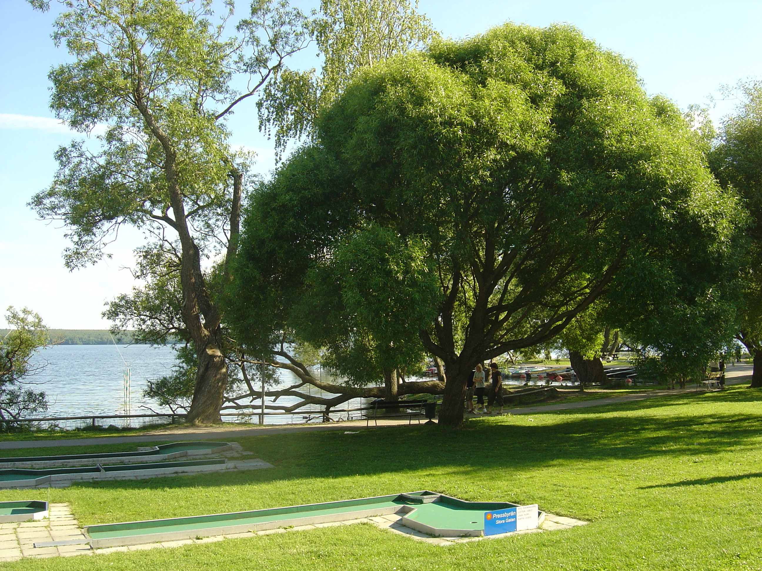 รูปถ่าย สวีเดน(Sweden) ซิกตูนา(Sigtuna) 2005-06 18
