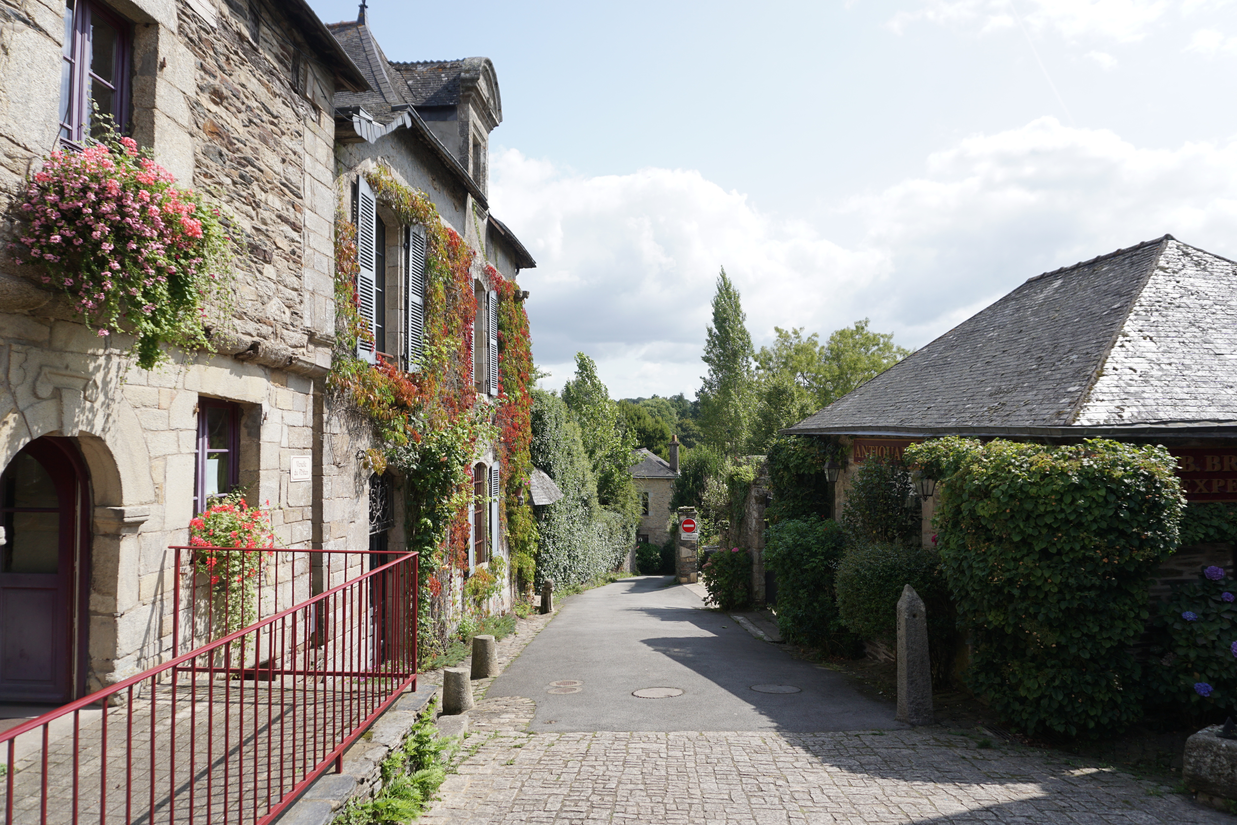 รูปถ่าย ฝรั่งเศส(France) รอชฟอร์-อ็อง-แตร์(Rochefort en terre) 2017-08 56