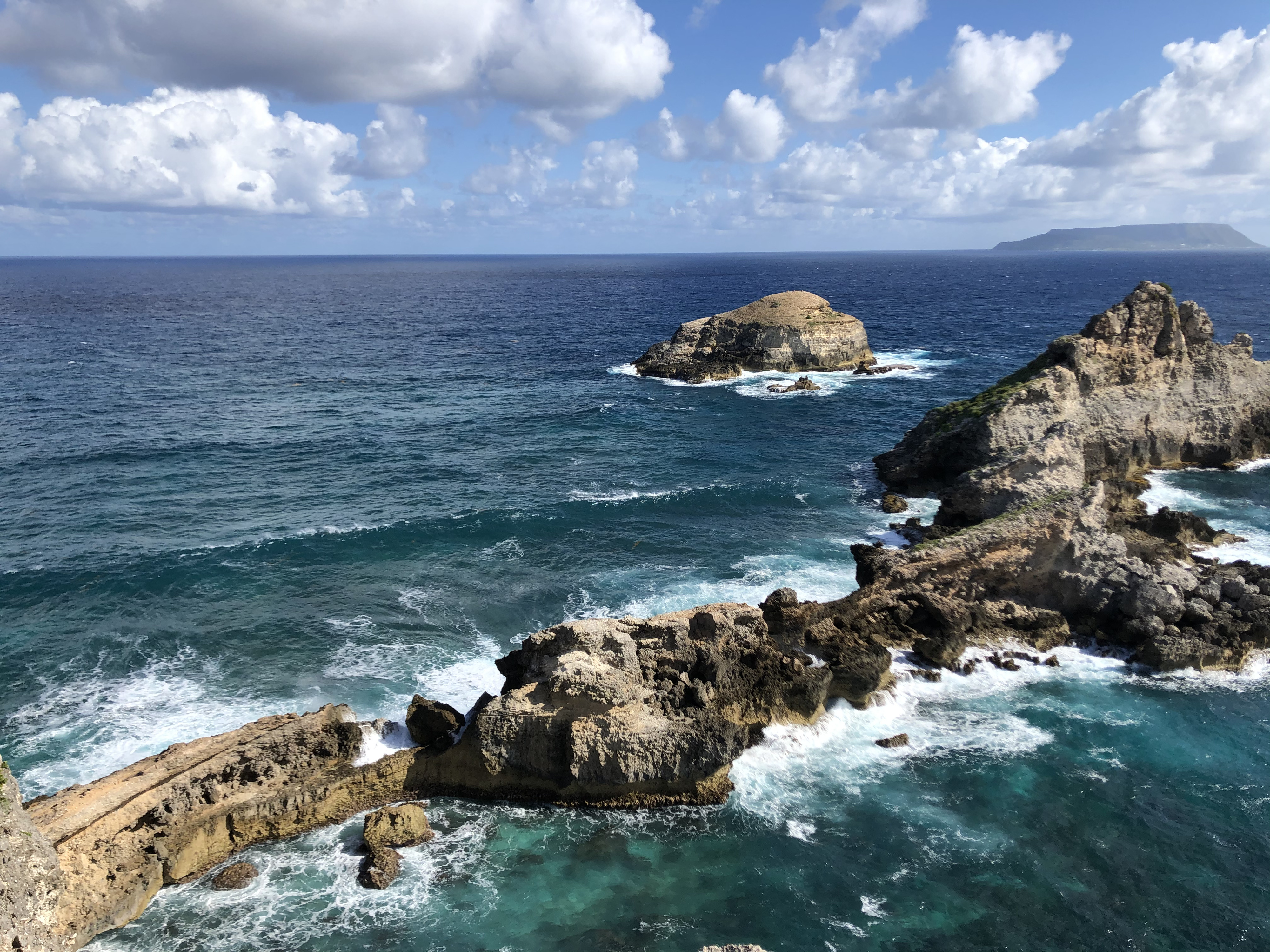 รูปถ่าย กวาเดอลูป(Guadeloupe) แหลมคาสเซิลพอยต์(Castle Point) 2021-02 300