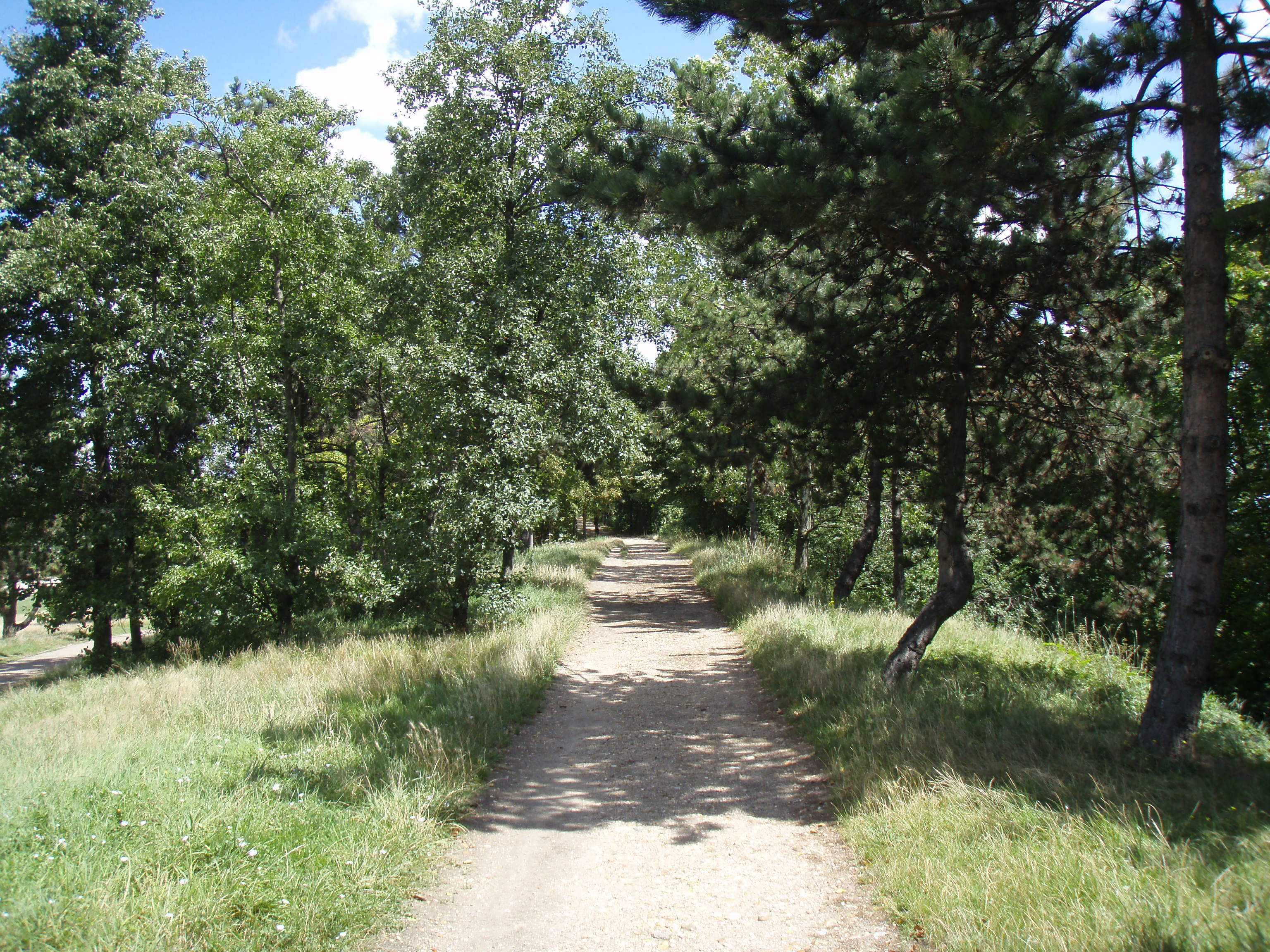 รูปถ่าย ฝรั่งเศส(France) โคลอมบ์(Colombes) เกาะมาร็องต์(L'ile Marrante) 2007-07 0