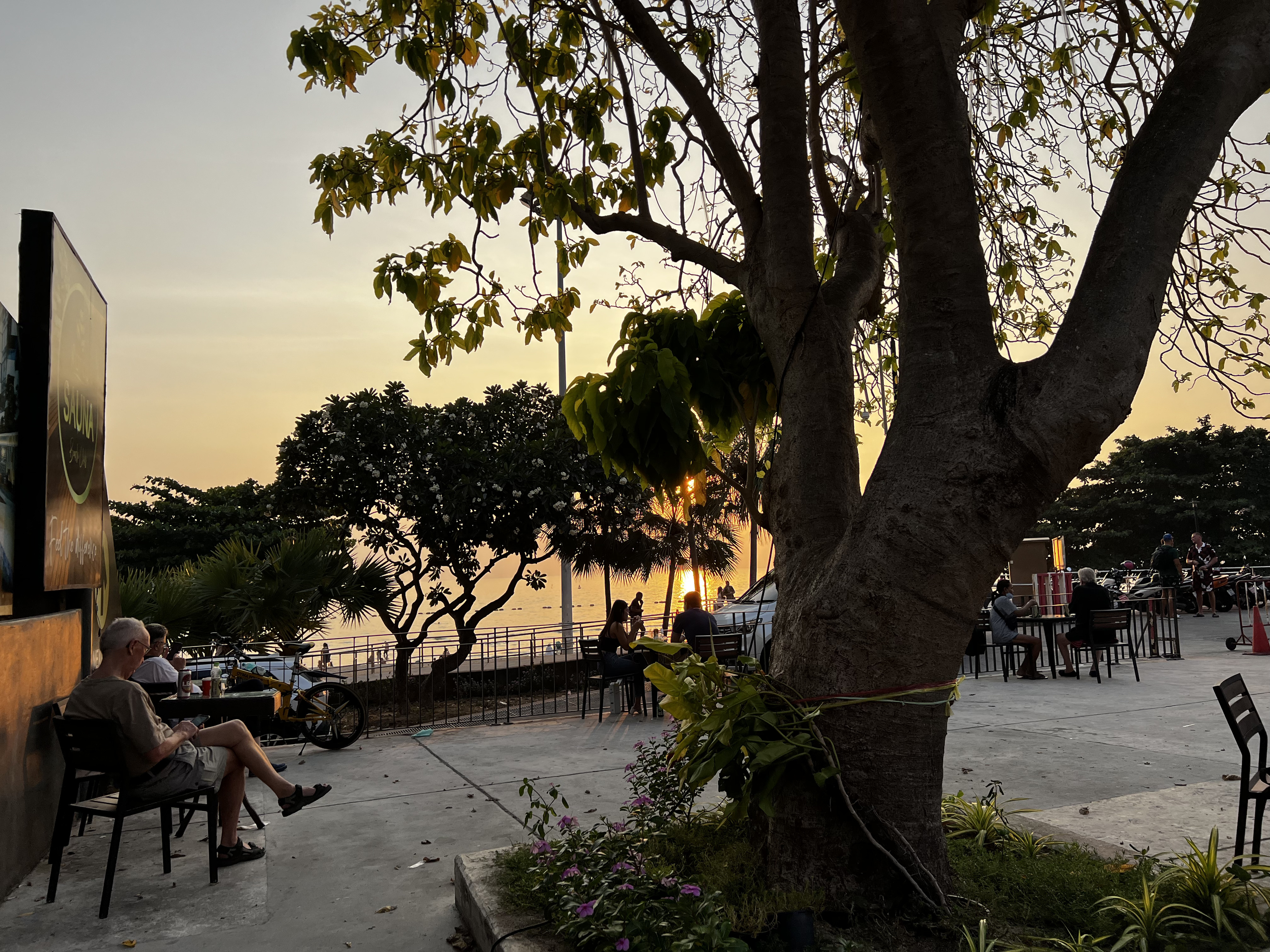 รูปถ่าย ไทย(Thailand) พัทยา(Pattaya) 2023-01 88