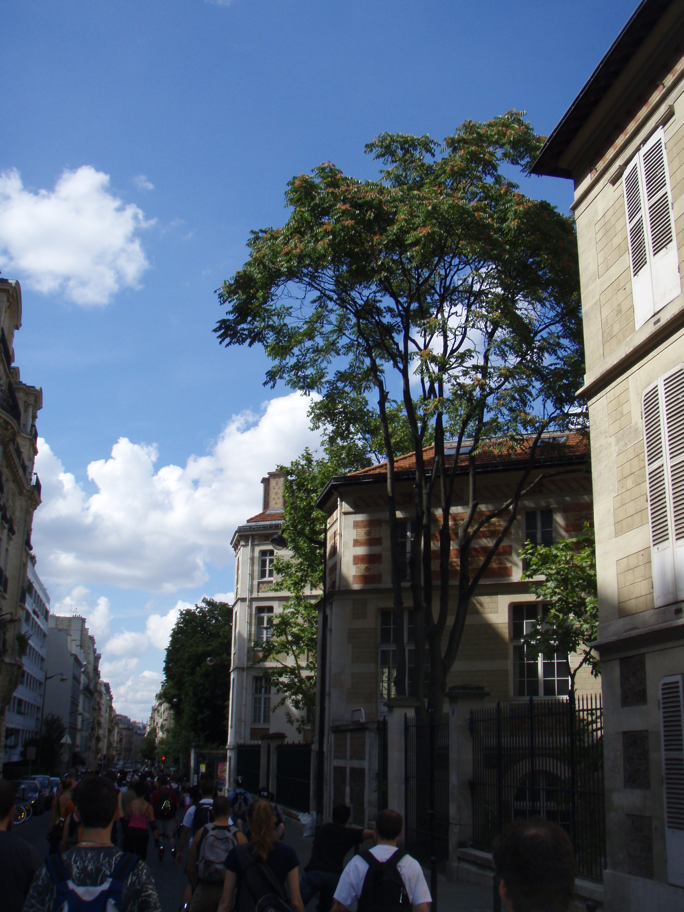 รูปถ่าย ฝรั่งเศส(France) ปารีส(Paris) เล่นสเก็ตในปารีส(Randonnee Roller et Coquillages) 2007-07 75