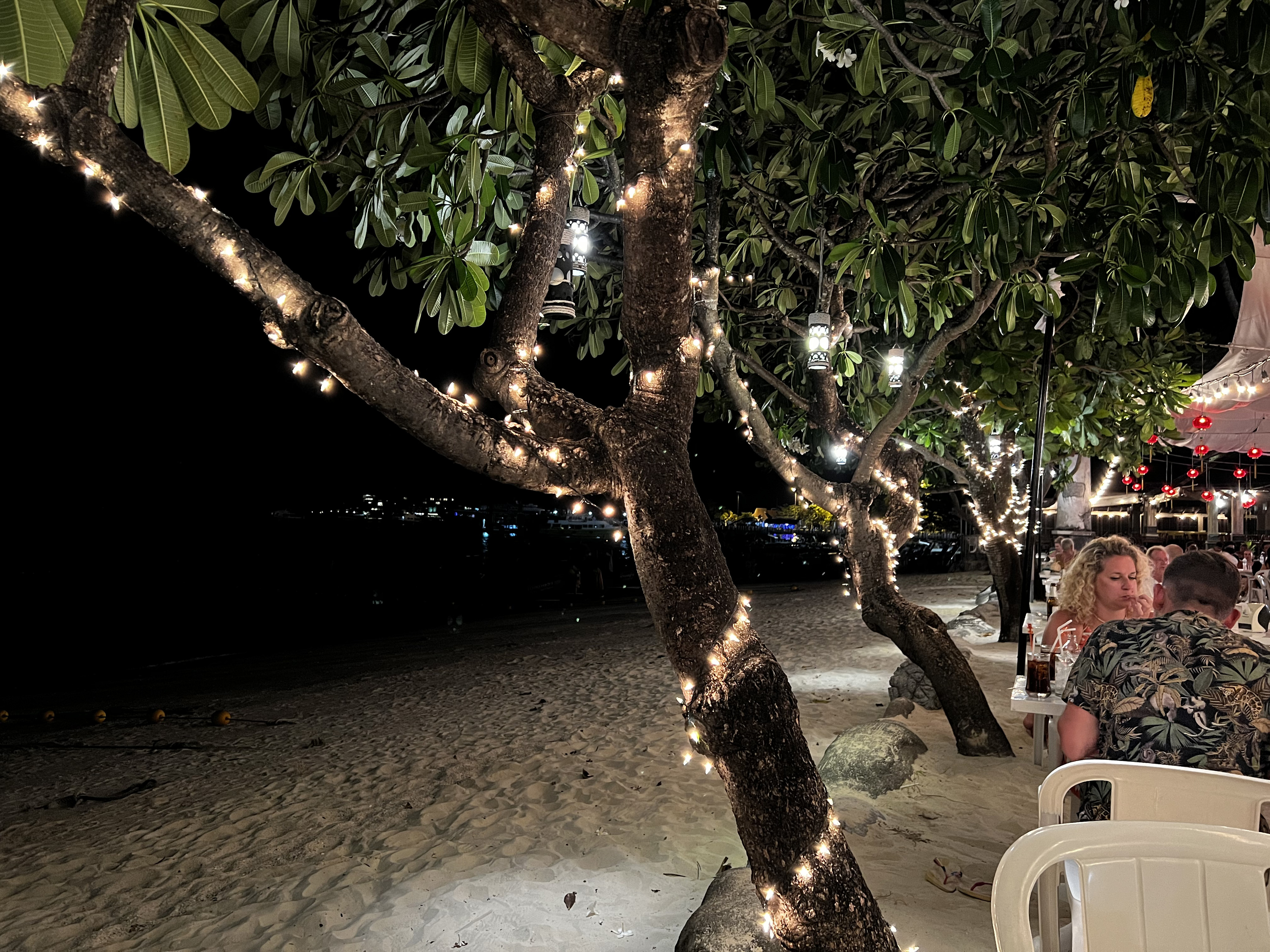 รูปถ่าย ไทย(Thailand) เกาะพีพีดอน(Ko Phi Phi Don) 2021-12 8