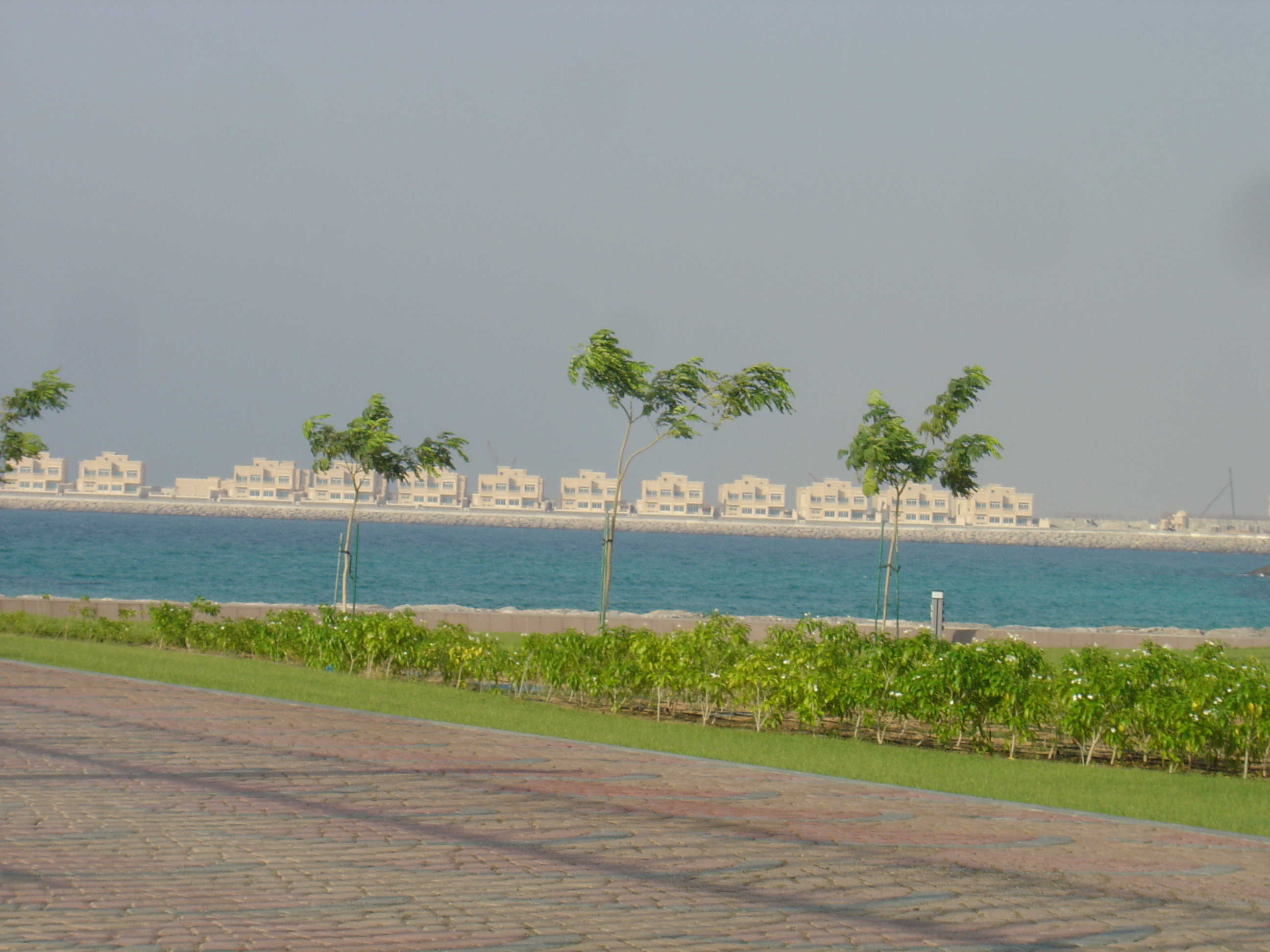 รูปถ่าย สหรัฐอาหรับเอมิเรตส์(United Arab Emirates) อาบูดาบี(Abu Dhabi) 2005-09 32