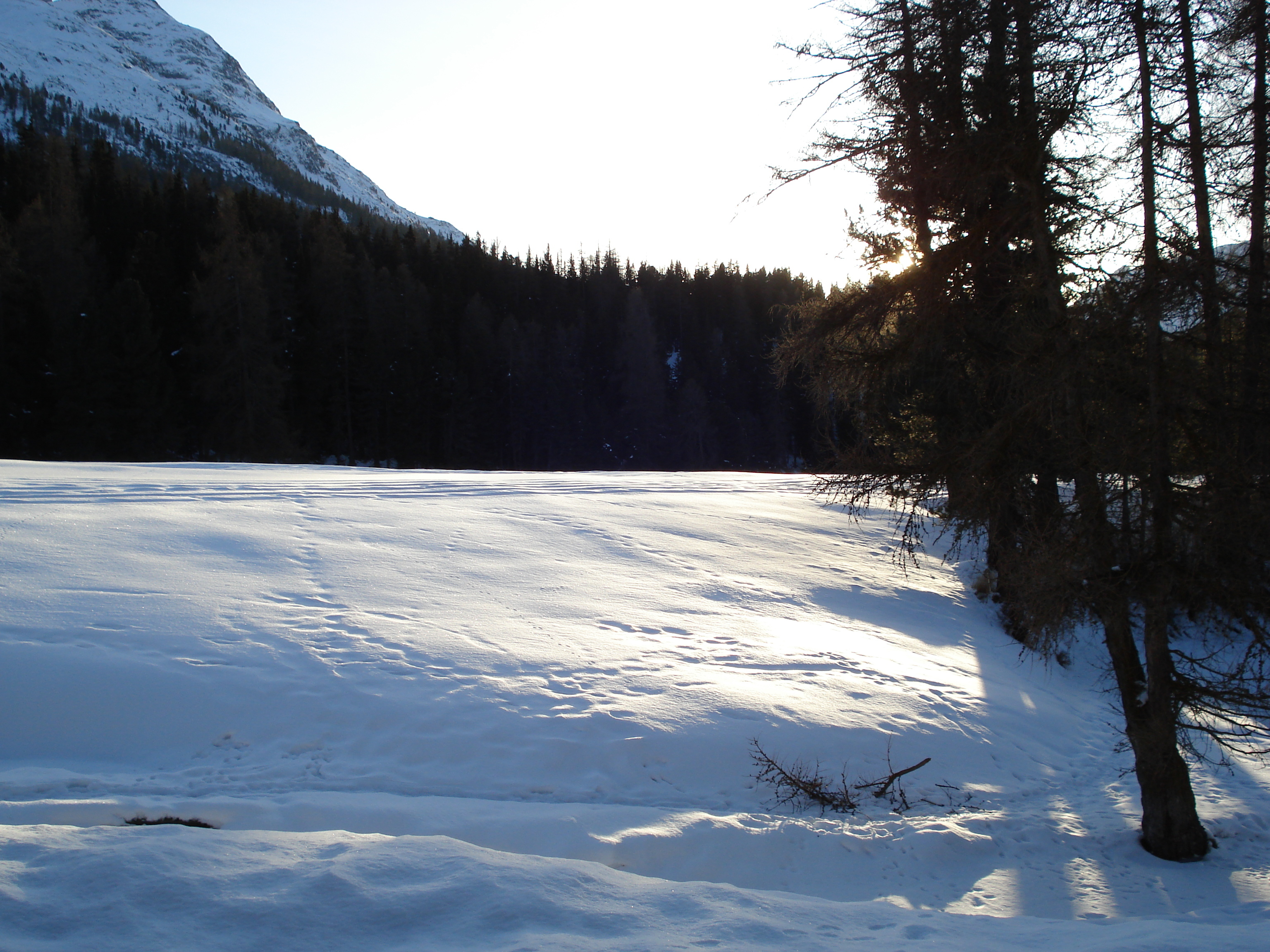 รูปถ่าย สวิสเซอร์แลนด์(Switzerland) เซนต์มอริตซ์ ชลาริญญา(St Moritz Schlarigna) 2007-01 0