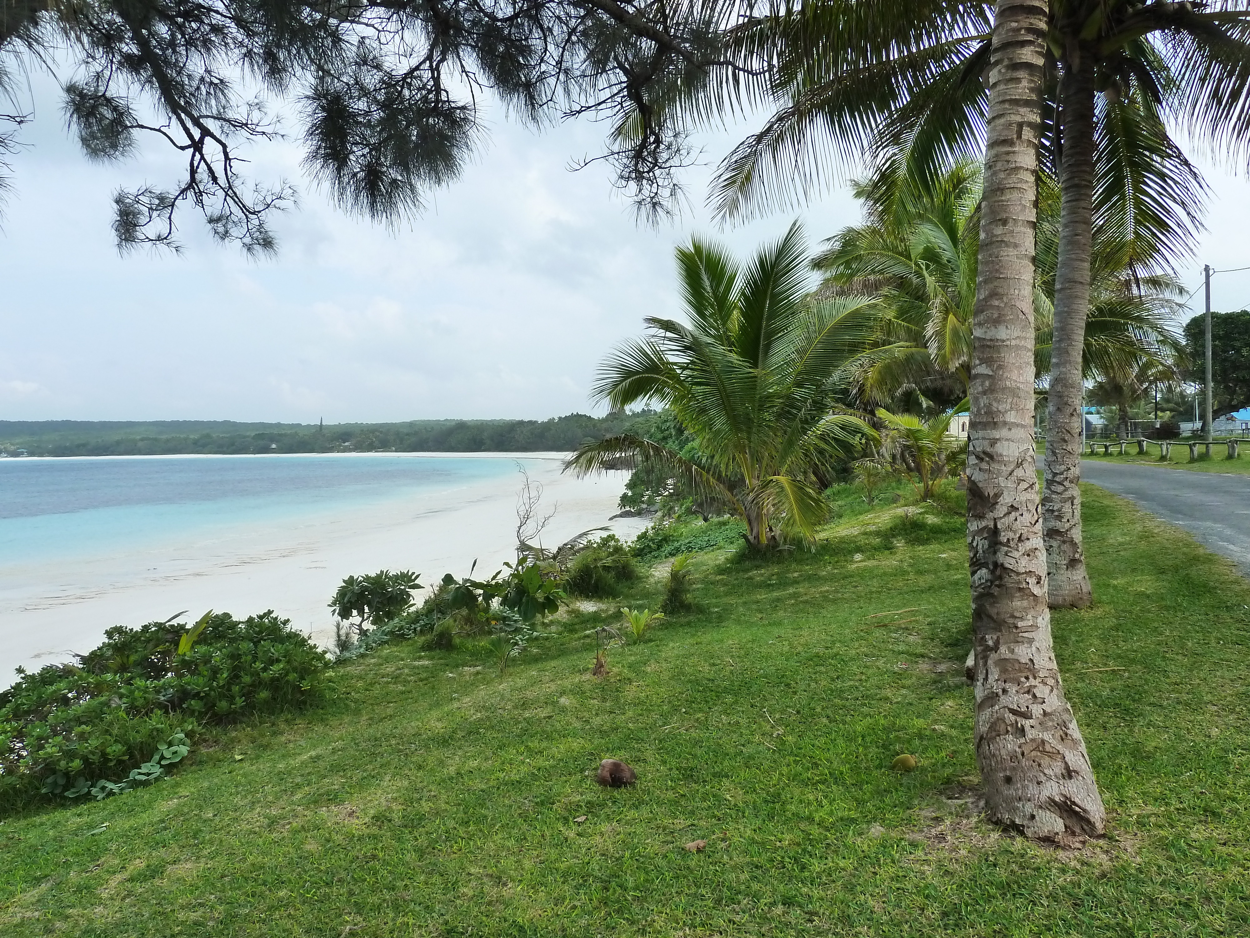 รูปถ่าย นิวแคลิโดเนีย(New Caledonia) เกาะลีฟู(Lifou) ลูเอซิลลา(Luecilla) 2010-05 33