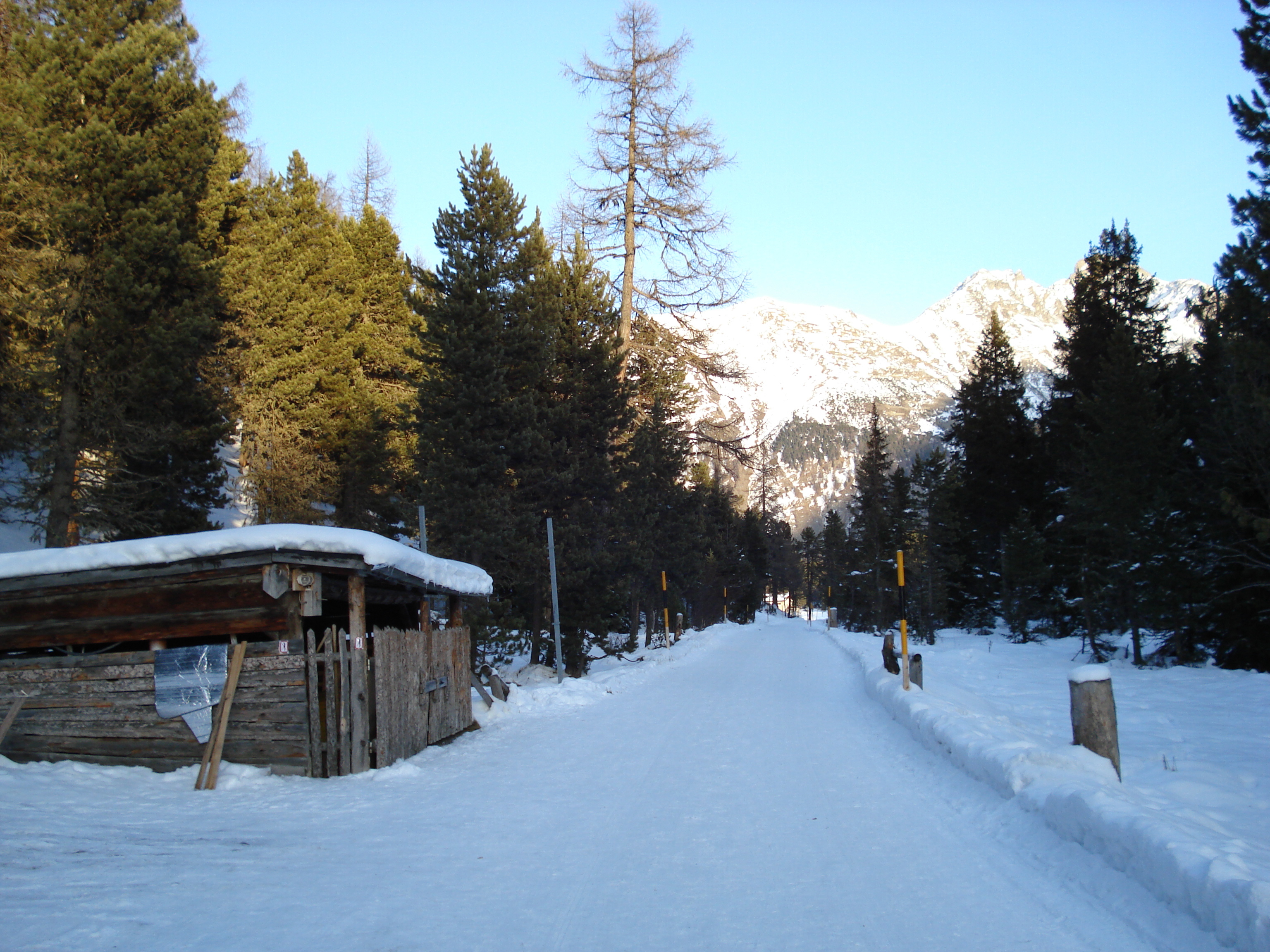 รูปถ่าย สวิสเซอร์แลนด์(Switzerland) เซนต์มอริตซ์ ชลาริญญา(St Moritz Schlarigna) 2007-01 23