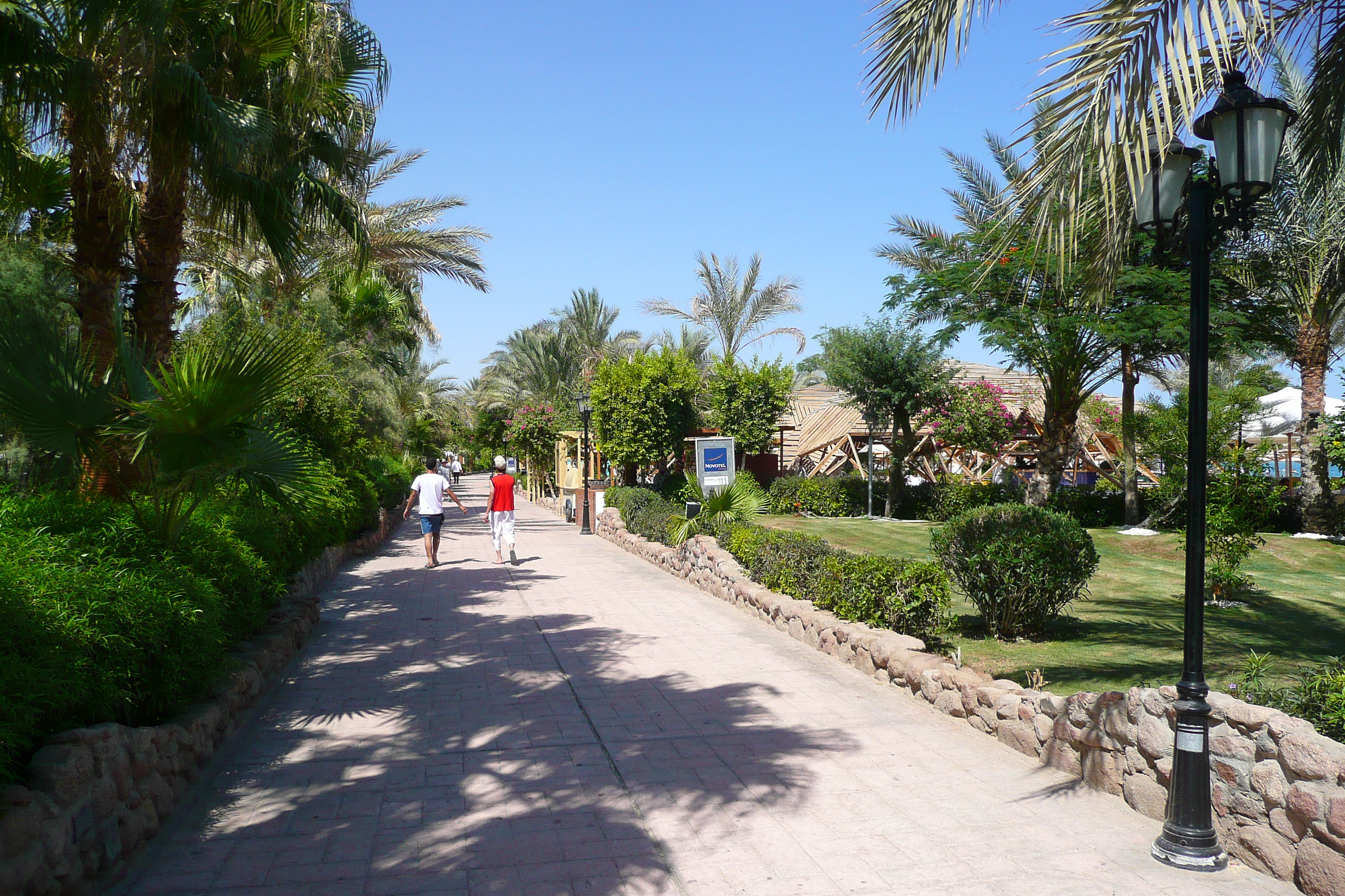 รูปถ่าย อียิปต์(Egypt) ชาร์มเอลชีค(Sharm el Sheikh) 2008-06 23