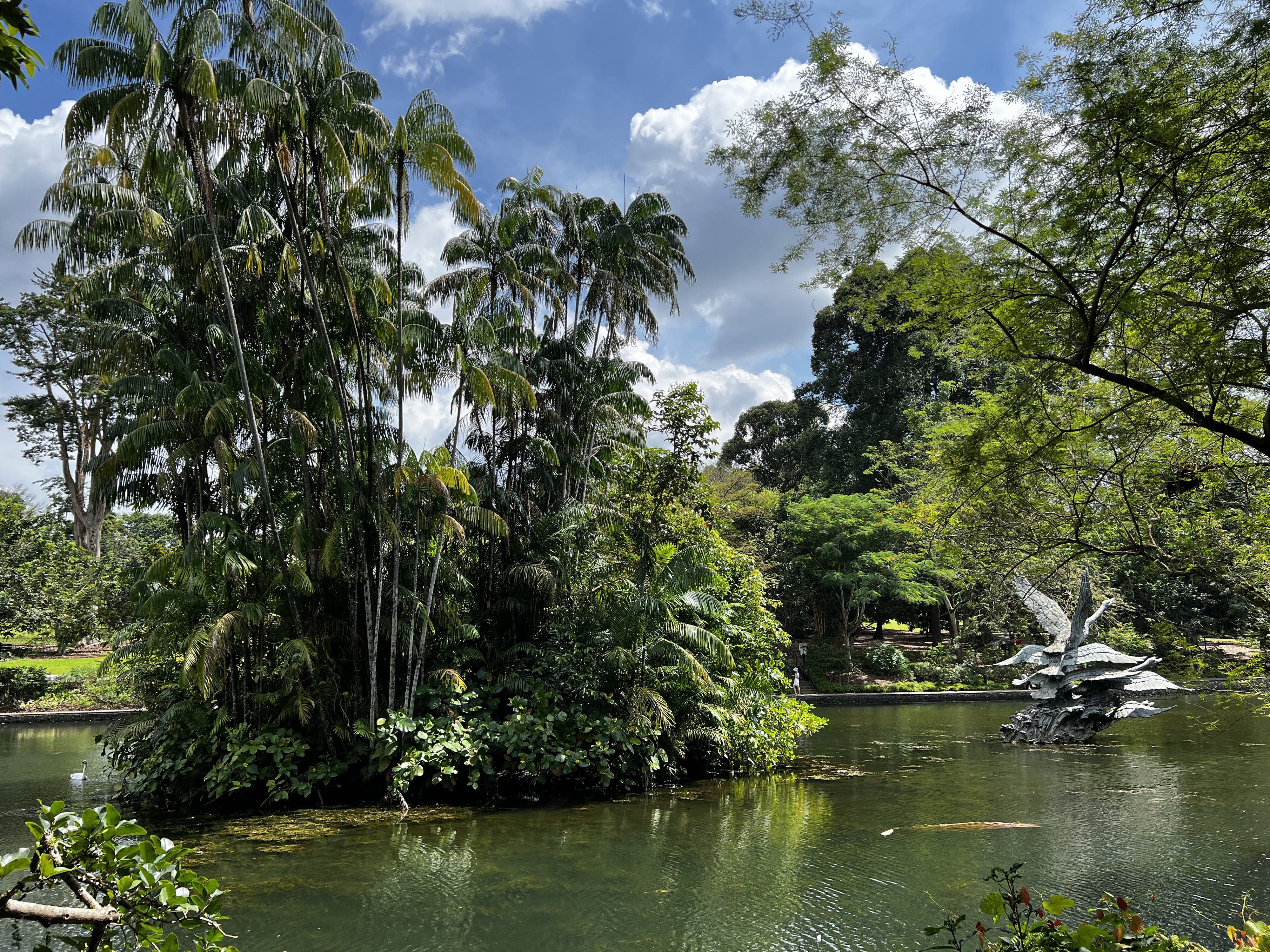 รูปถ่าย สิงคโปร์(Singapore) สวนพฤกษศาสตร์สิงคโปร์(Singapore Botanic Gardens) 2023-01 115