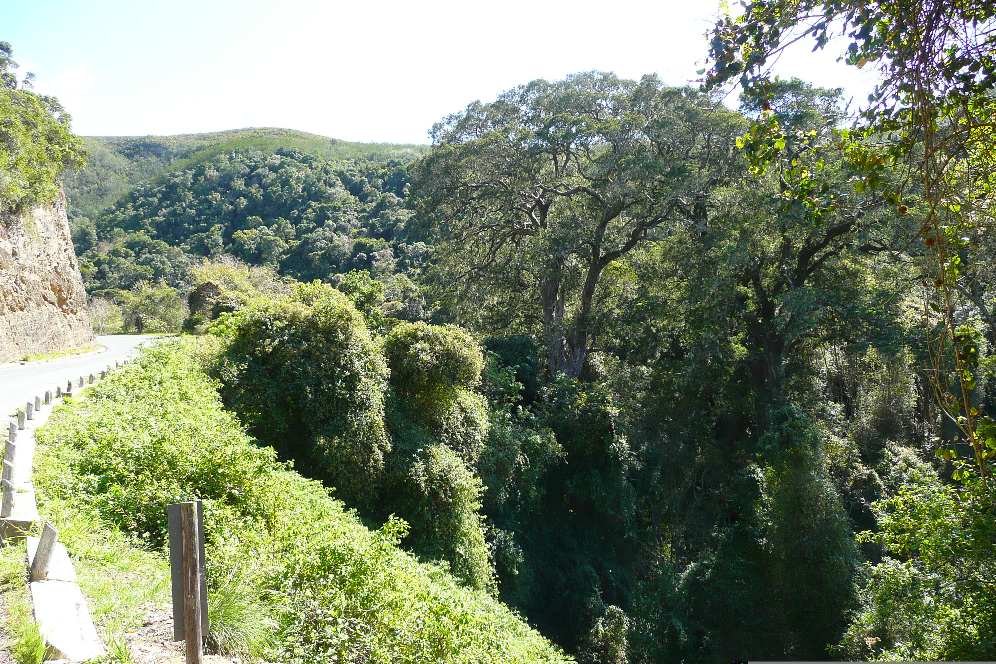 รูปถ่าย แอฟริกาใต้(South Africa) หุบเขาเนเจอร์ส(Nature's Valley) 2008-09 73