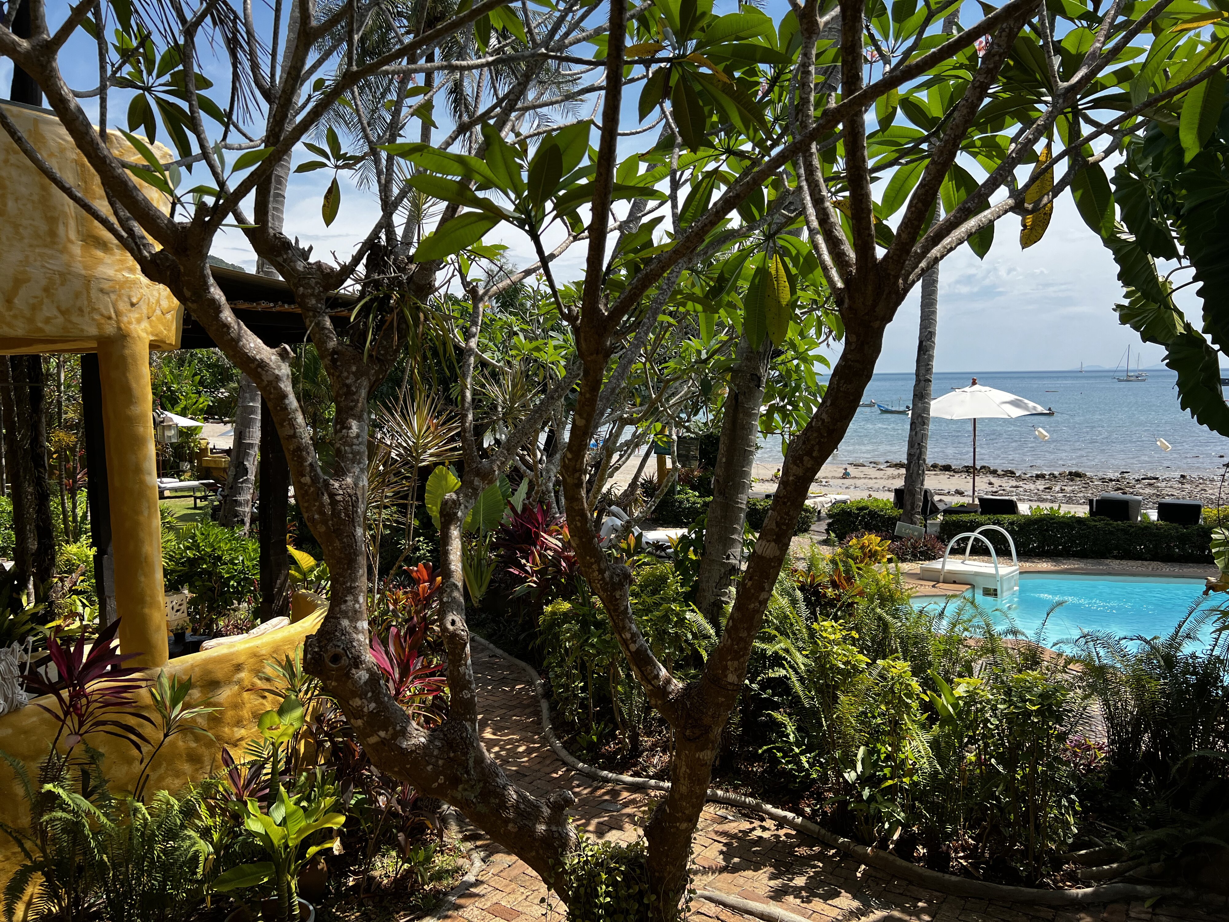 รูปถ่าย ไทย(Thailand) เกาะลันตา(Ko Lanta) 2023-01 6